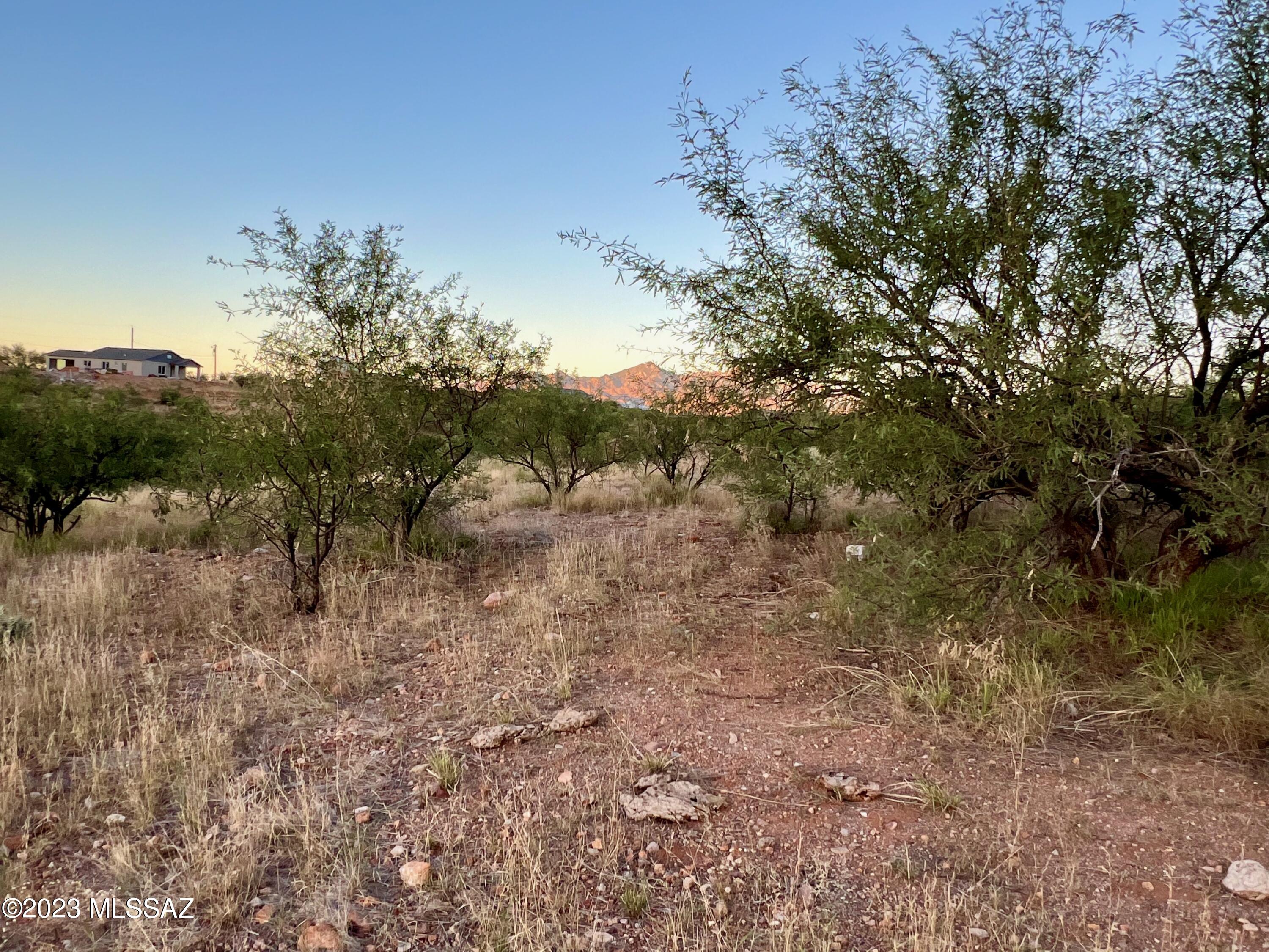 Rio Rico Ranchettes 18 - Land