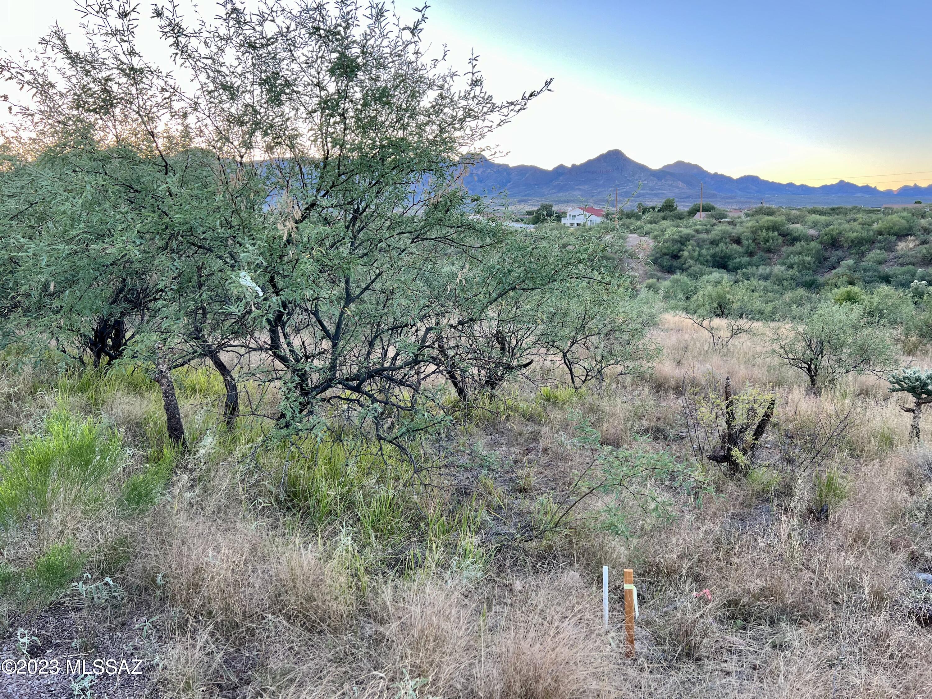 Rio Rico Ranchettes 18 - Land