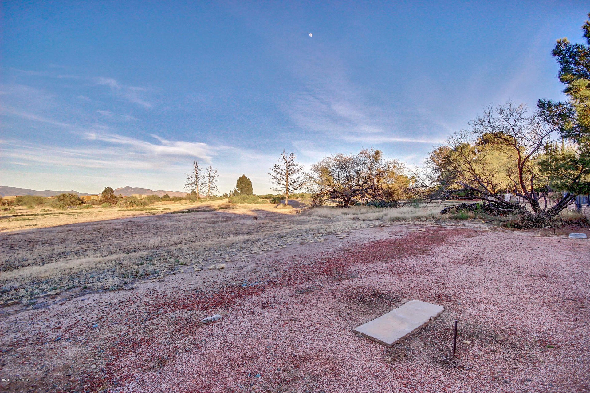 New Tucson Unit NO. 4 (1-203) - Residential