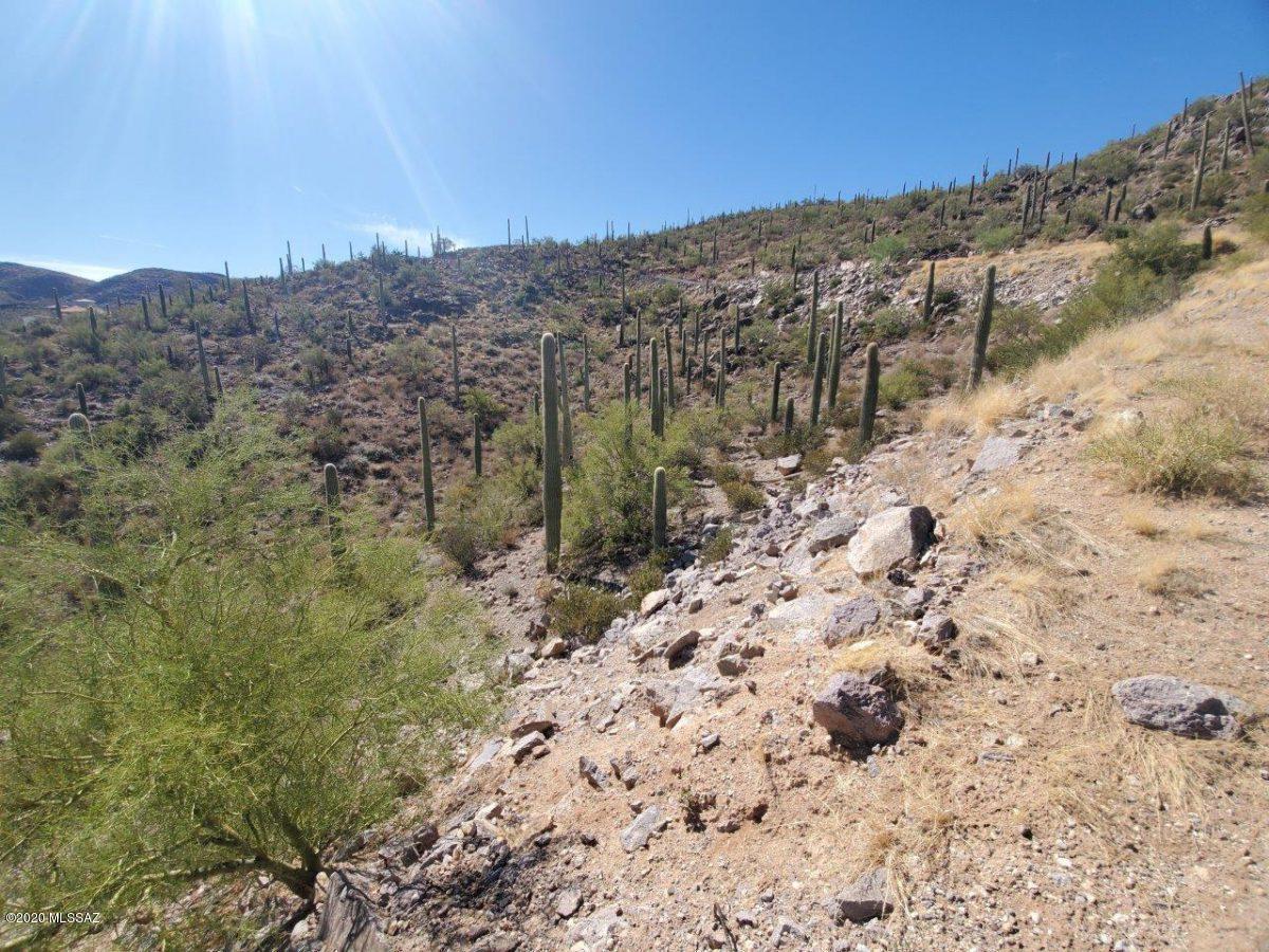 Mountain Garden Estates (12-64) - Land