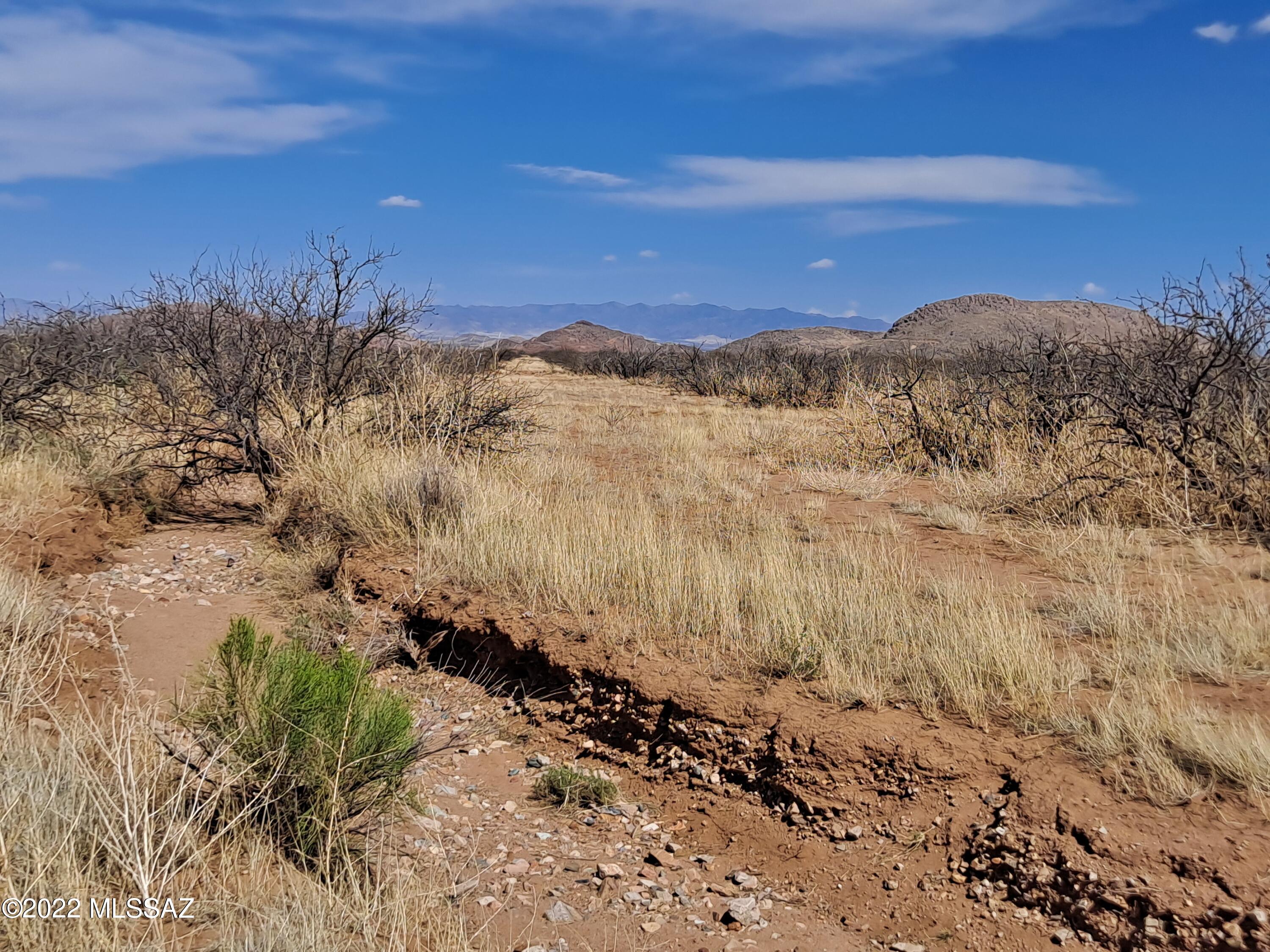 Out Of Pima County - Land