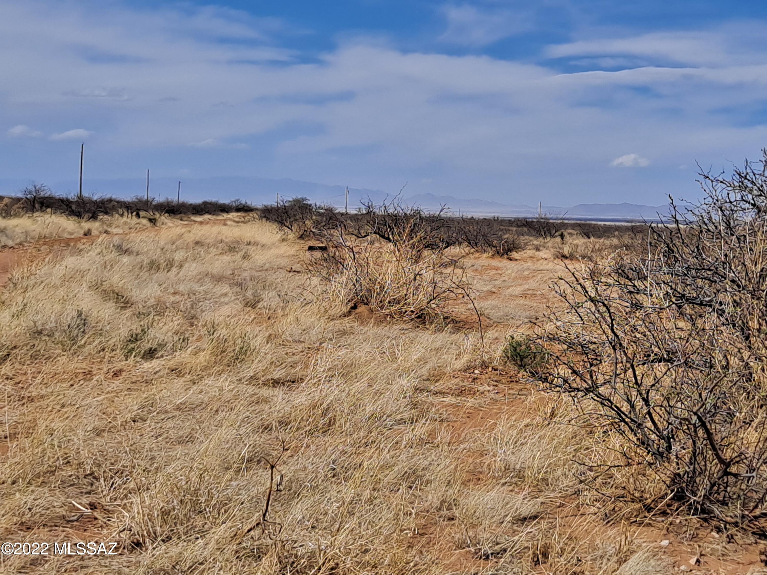 Out Of Pima County - Land