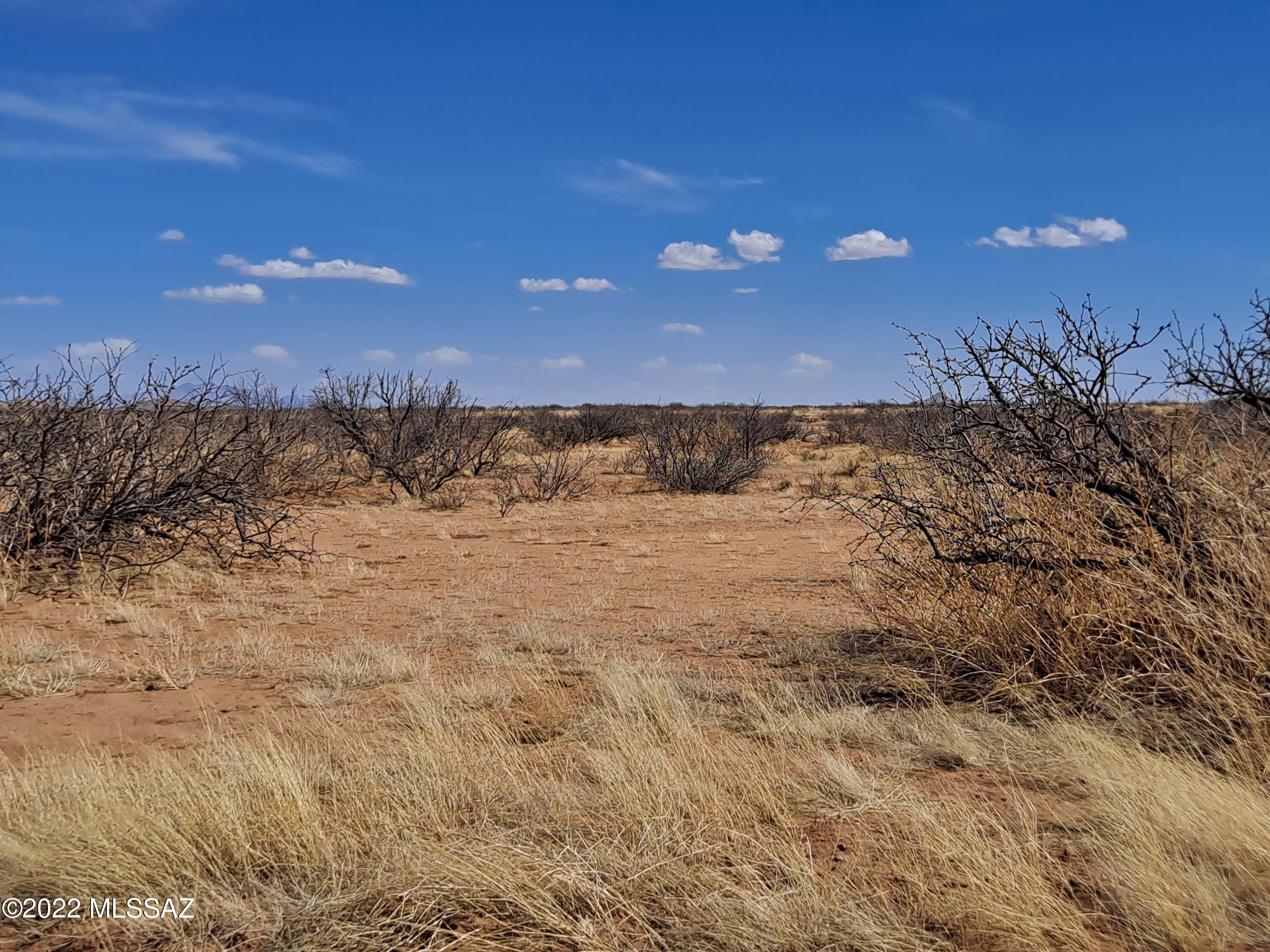 Out Of Pima County - Land