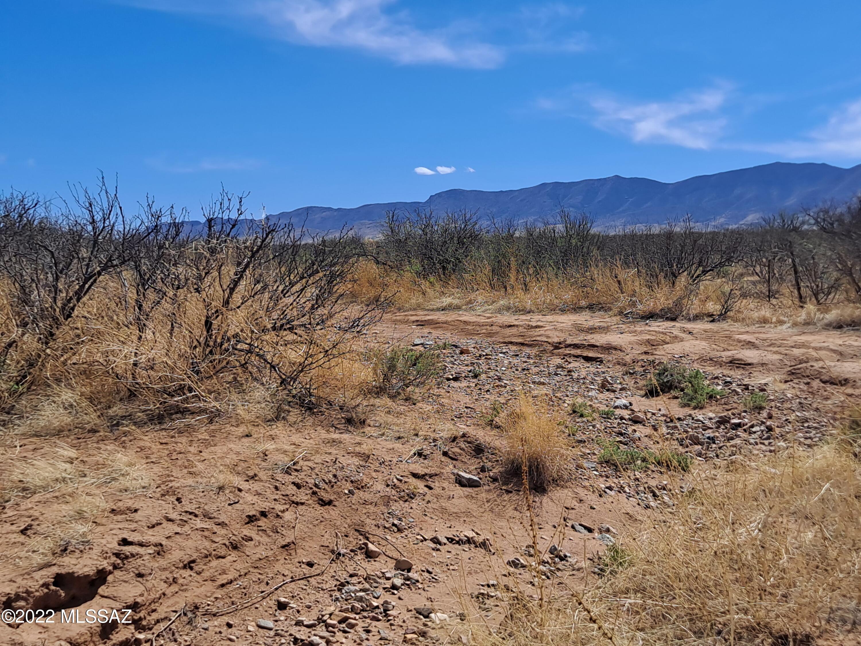 Out Of Pima County - Land