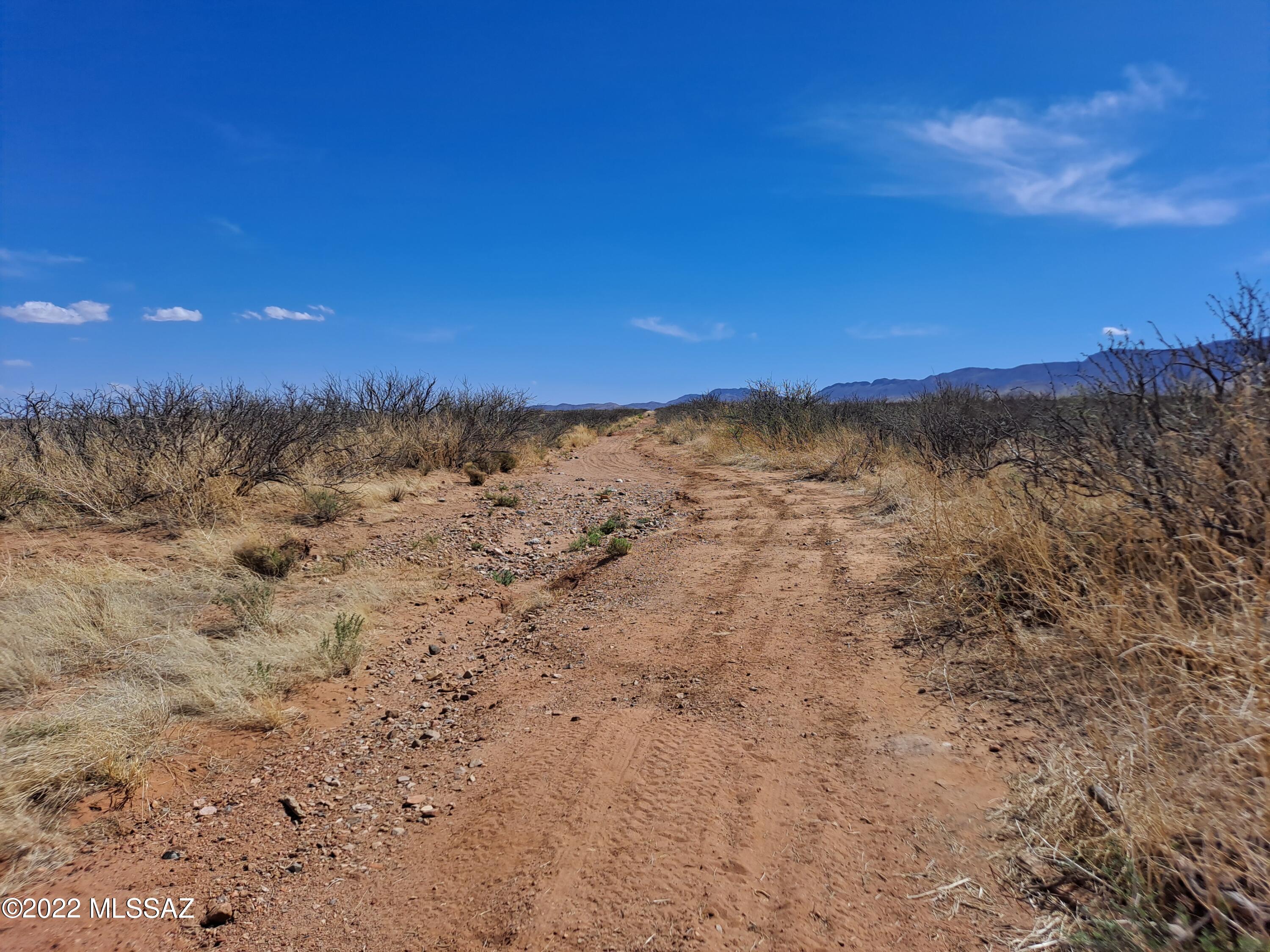 Out Of Pima County - Land