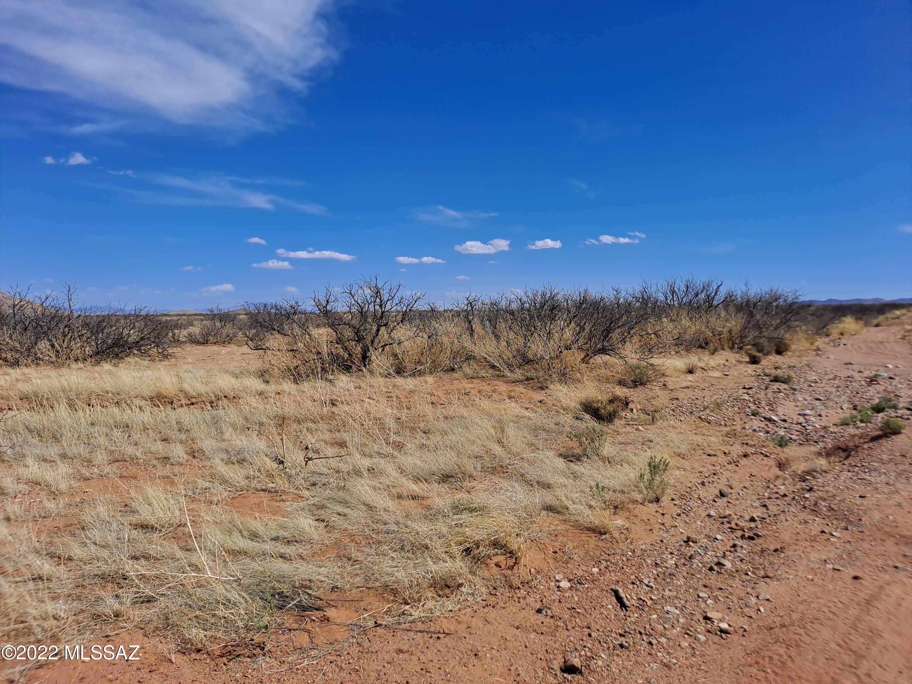Out Of Pima County - Land
