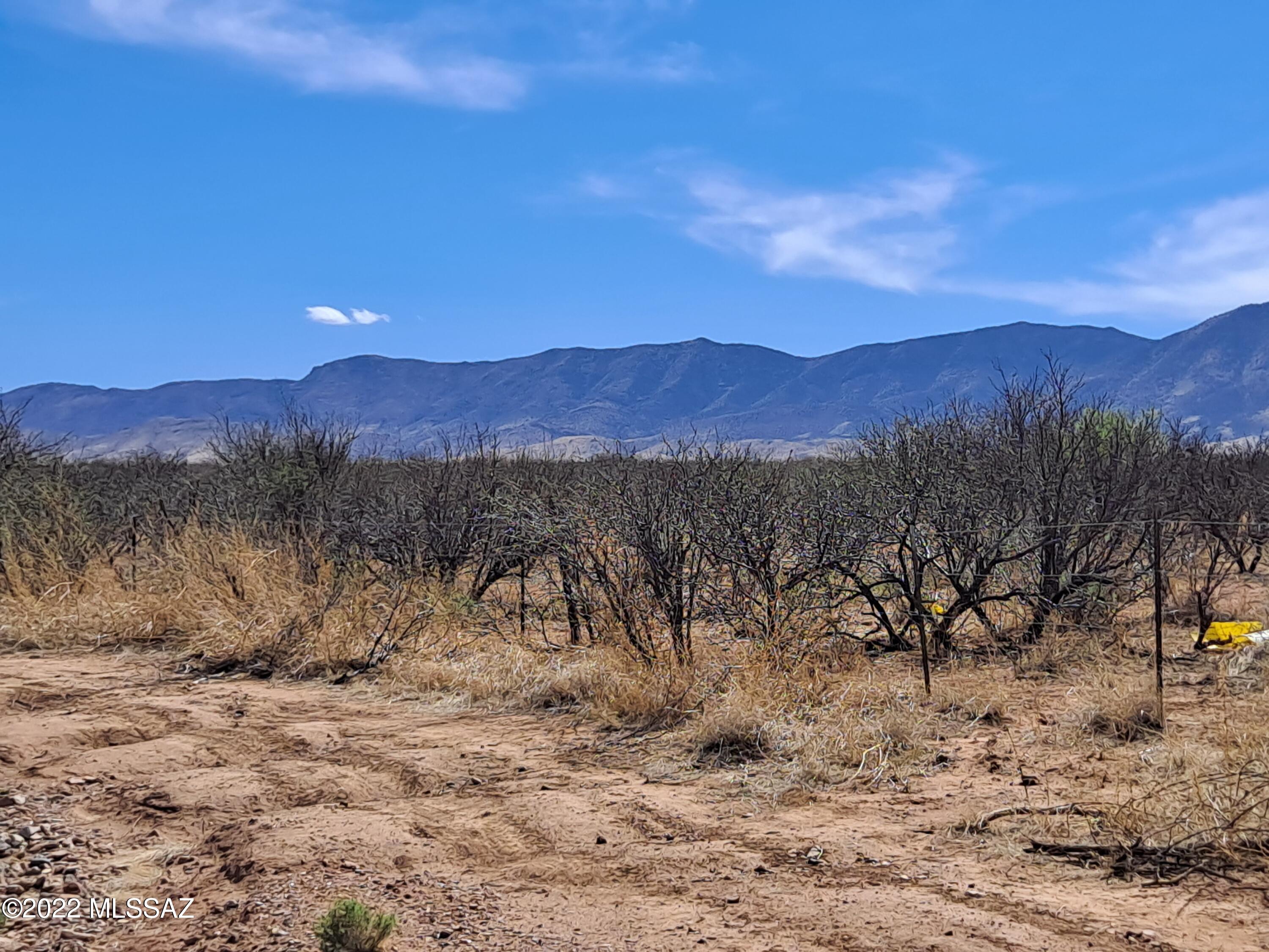 Out Of Pima County - Land