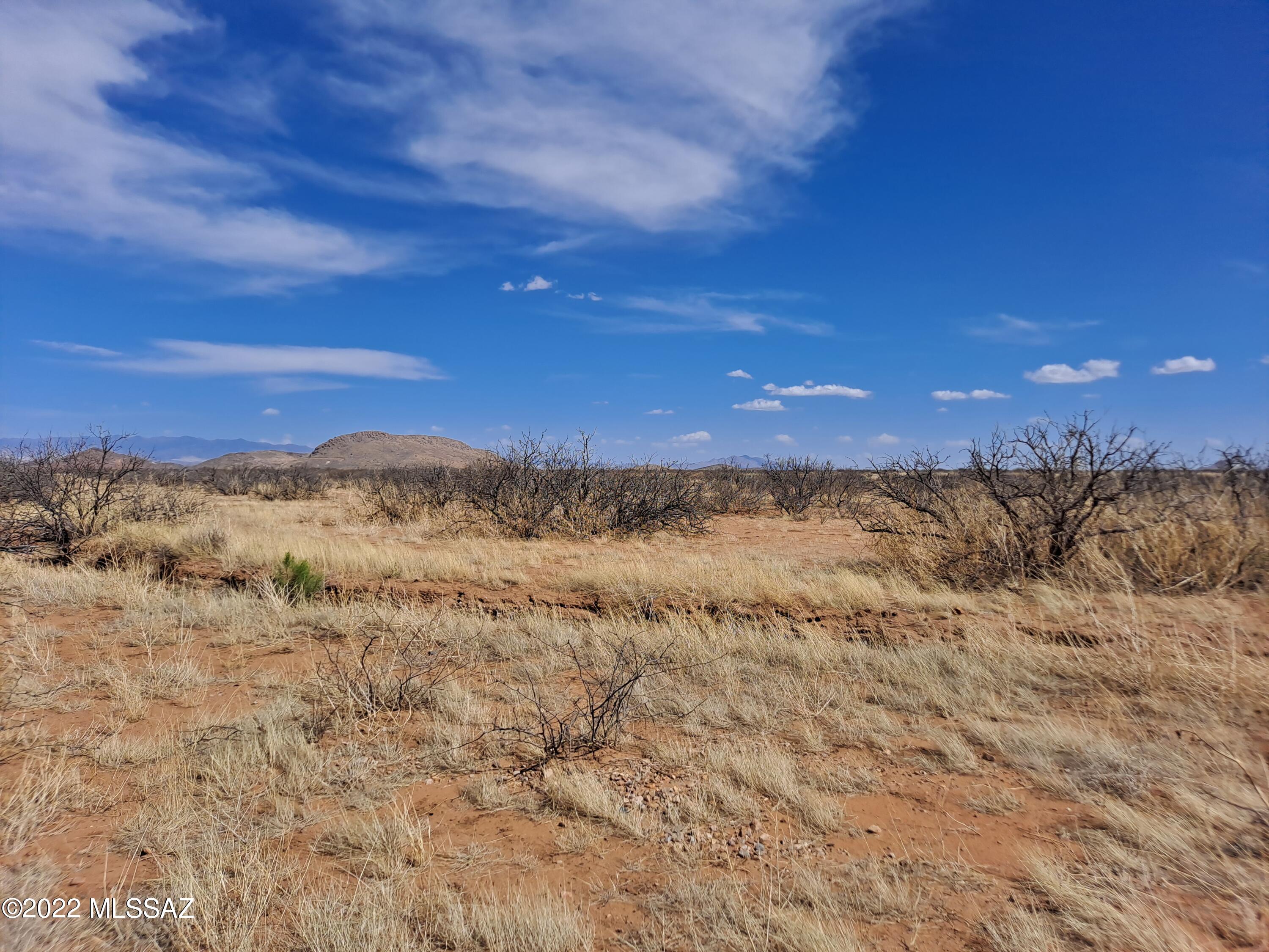 Out Of Pima County - Land