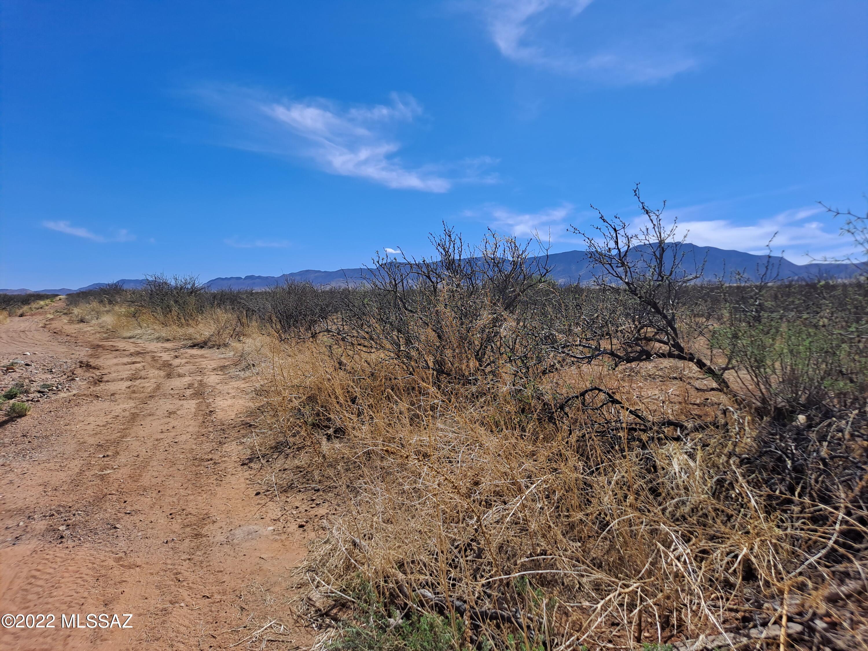 Out Of Pima County - Land