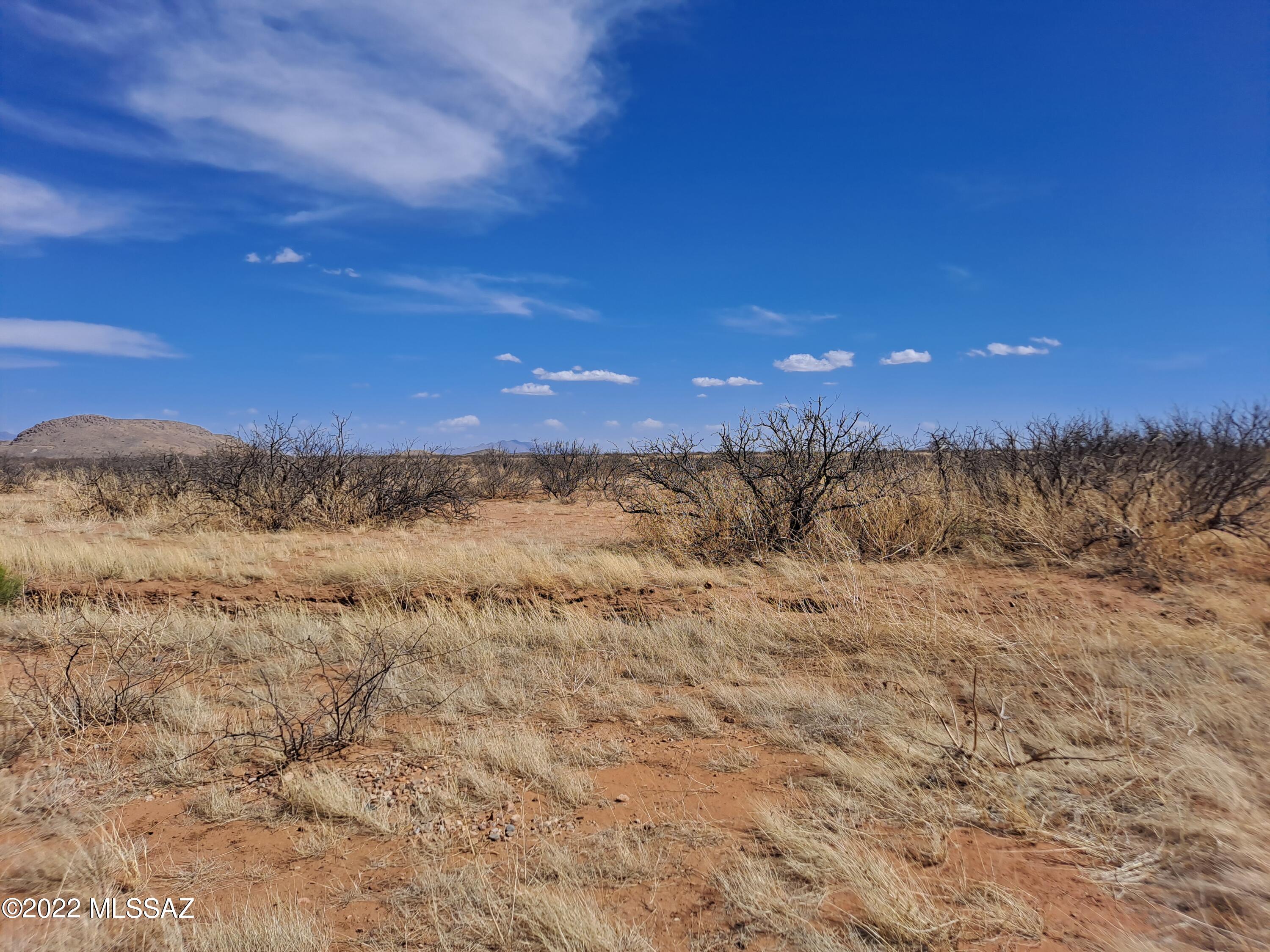 Out Of Pima County - Land
