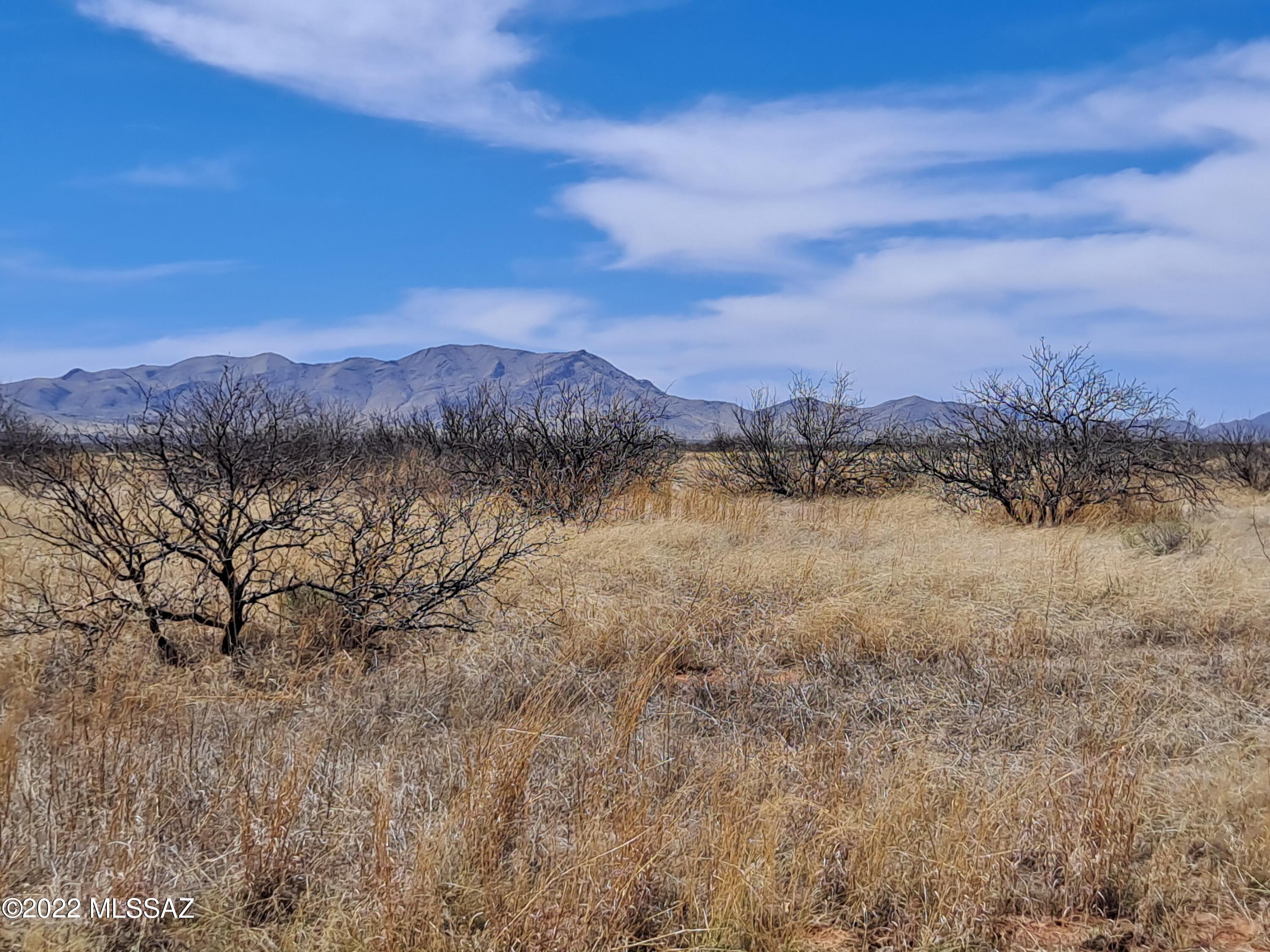 Out Of Pima County - Land