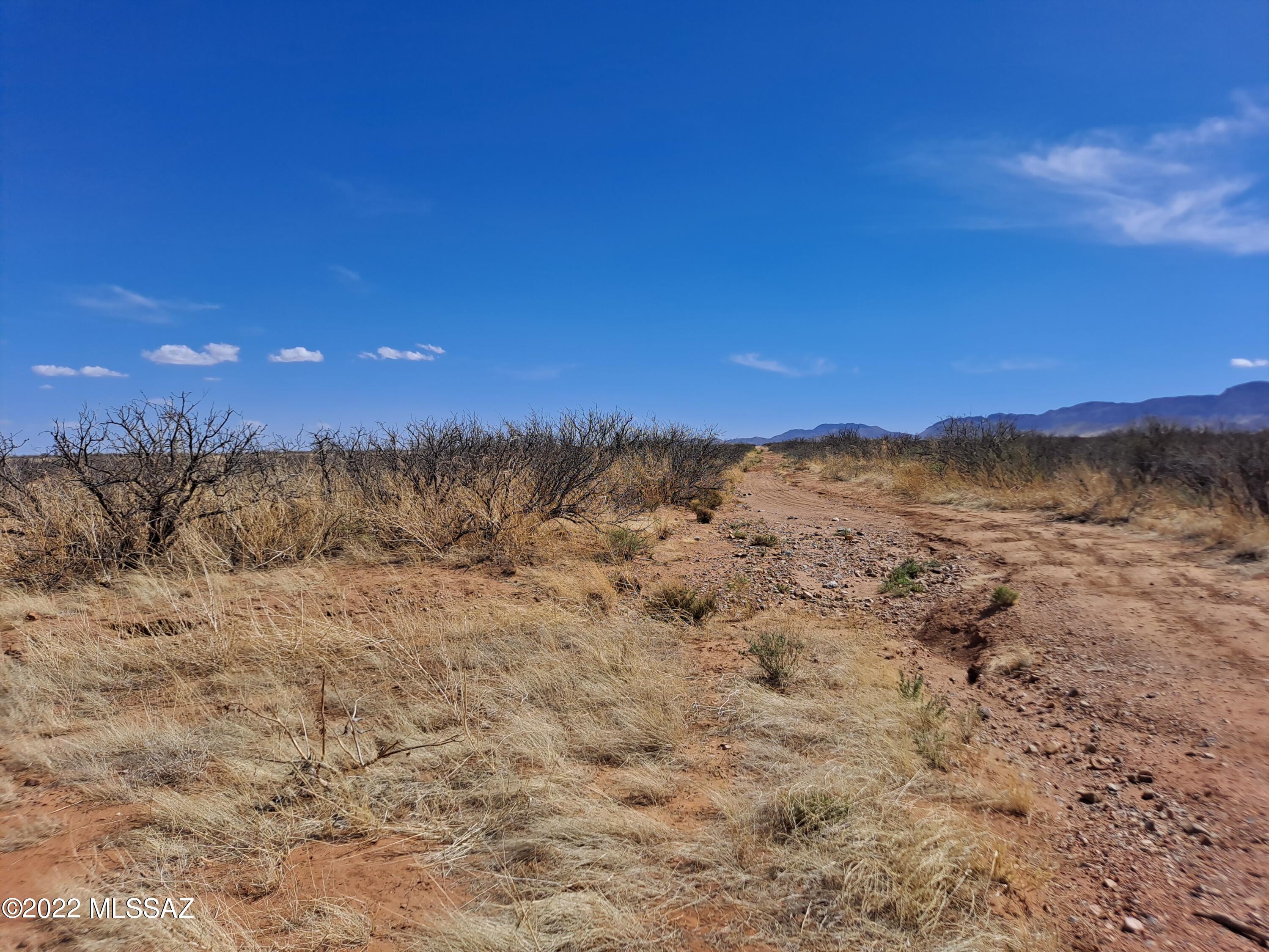 Out Of Pima County - Land