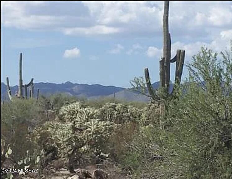 Sweeping Sunset Views for this gorgeous lot off Oasis Rd and views of 3 mountains! Build your dream home here. Easy build lot with utilities and shared well at property lines. Easy access to I-10, shopping and near the outlet mall at Twin Peaks. Don't let this one get away!