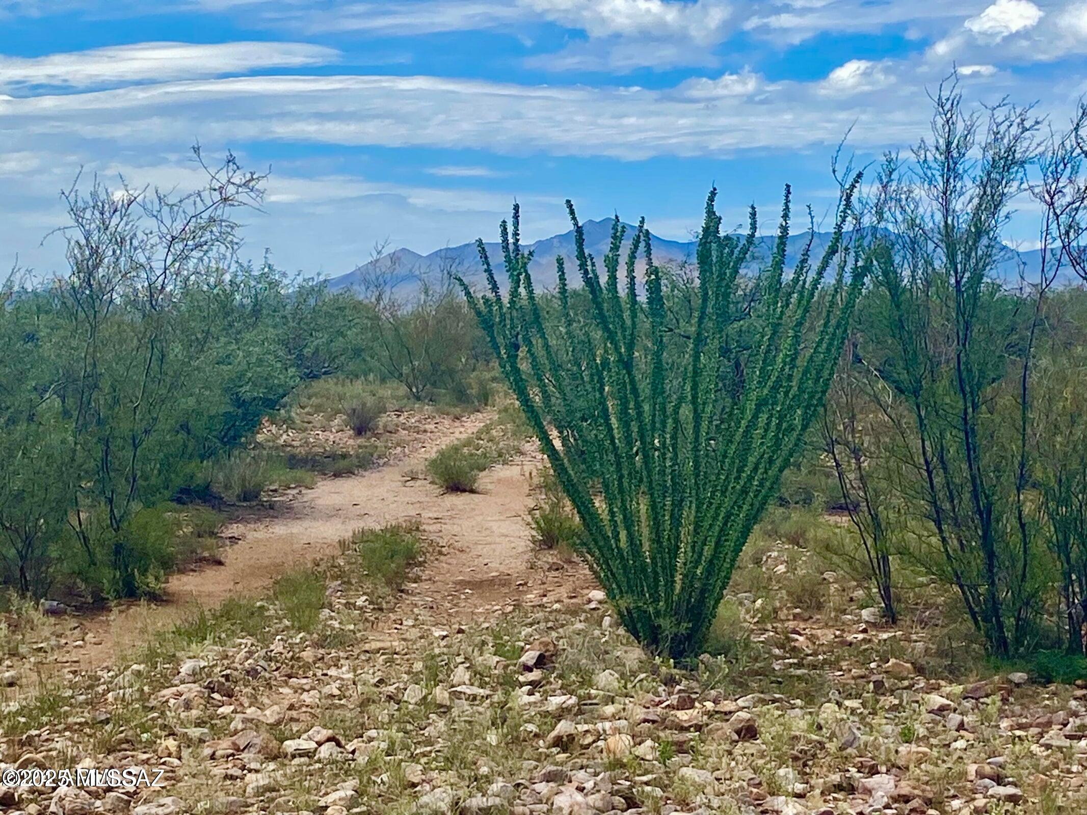 Out Of Pima County - Land