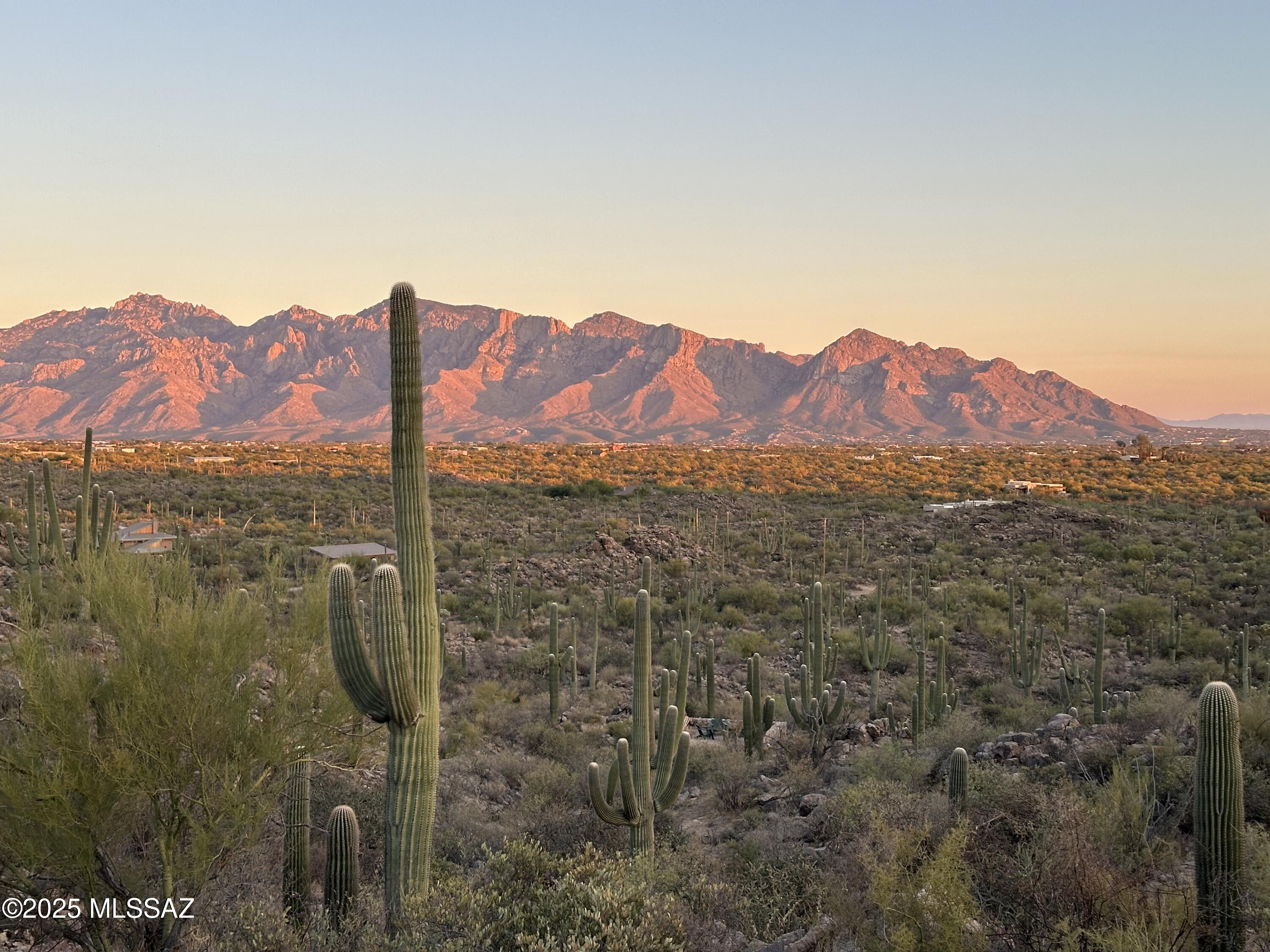 Saguaro Ranch South Amended - Residential