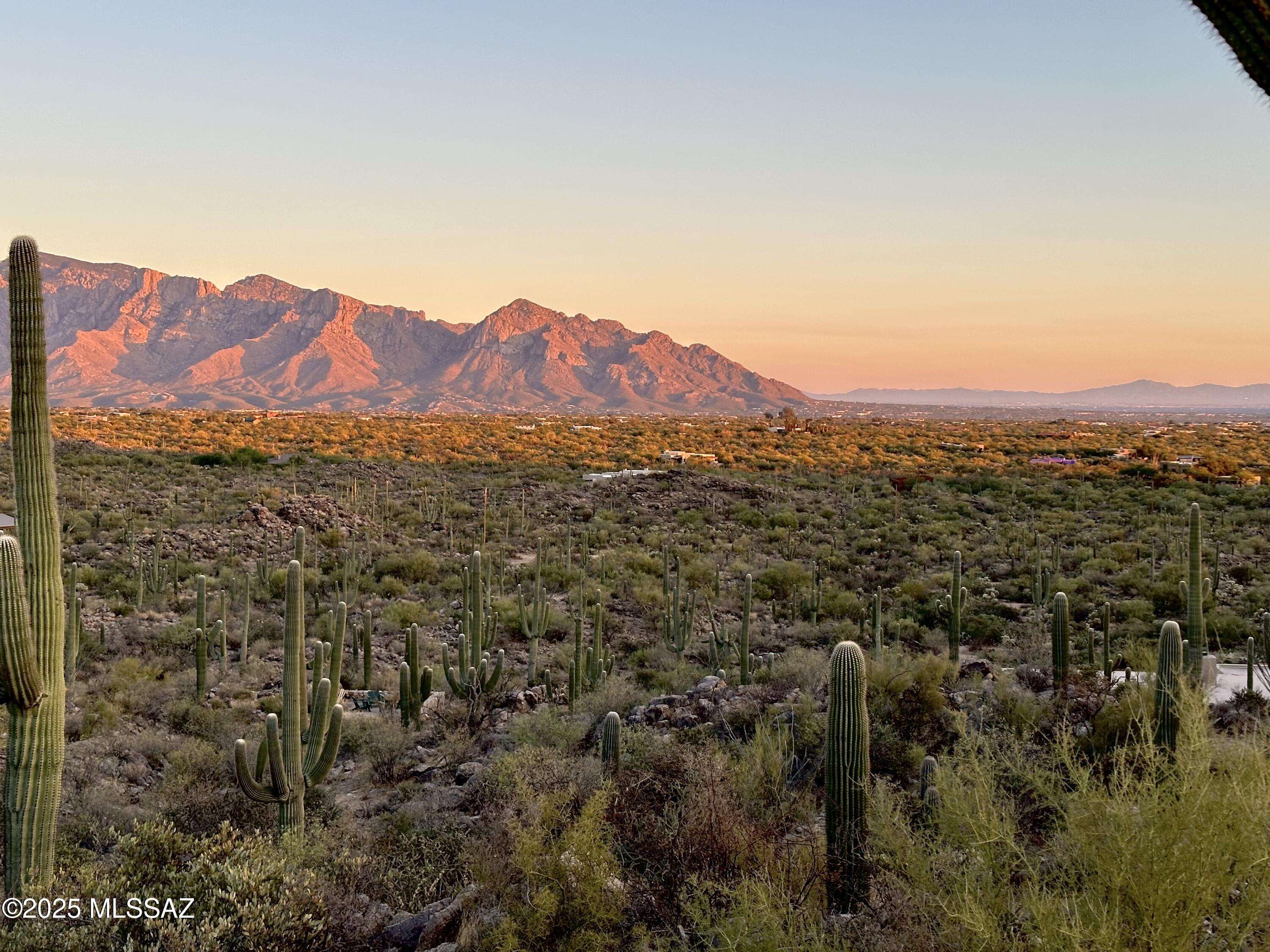 Saguaro Ranch South Amended - Residential