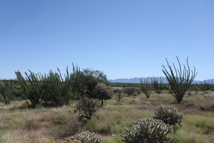 Colonia Real (1-50) - Land