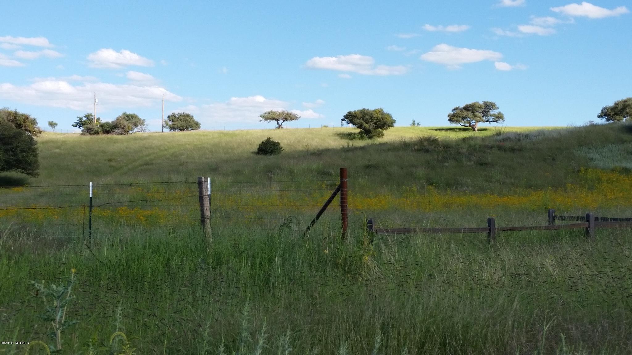 Gentle rolling grasslands dotted with oak trees in quaint neighborhood. FANTASTIC investment for someone looking to build now or later. County maintained road, successful perc test, private capped well with recent flow test. Fenced on 3 sides with power on two sides. Centrally located with easy access to local organic farm, Lightning Ridge Winery, Parker Canyon Lake, Ft Huachuca & Scenic Canelo Hills. Choose one of two hilltop building sites and enjoy the easy country serenity only found in one of Arizona's top rural communities. Bring your best offer in for this fabulous acreage!