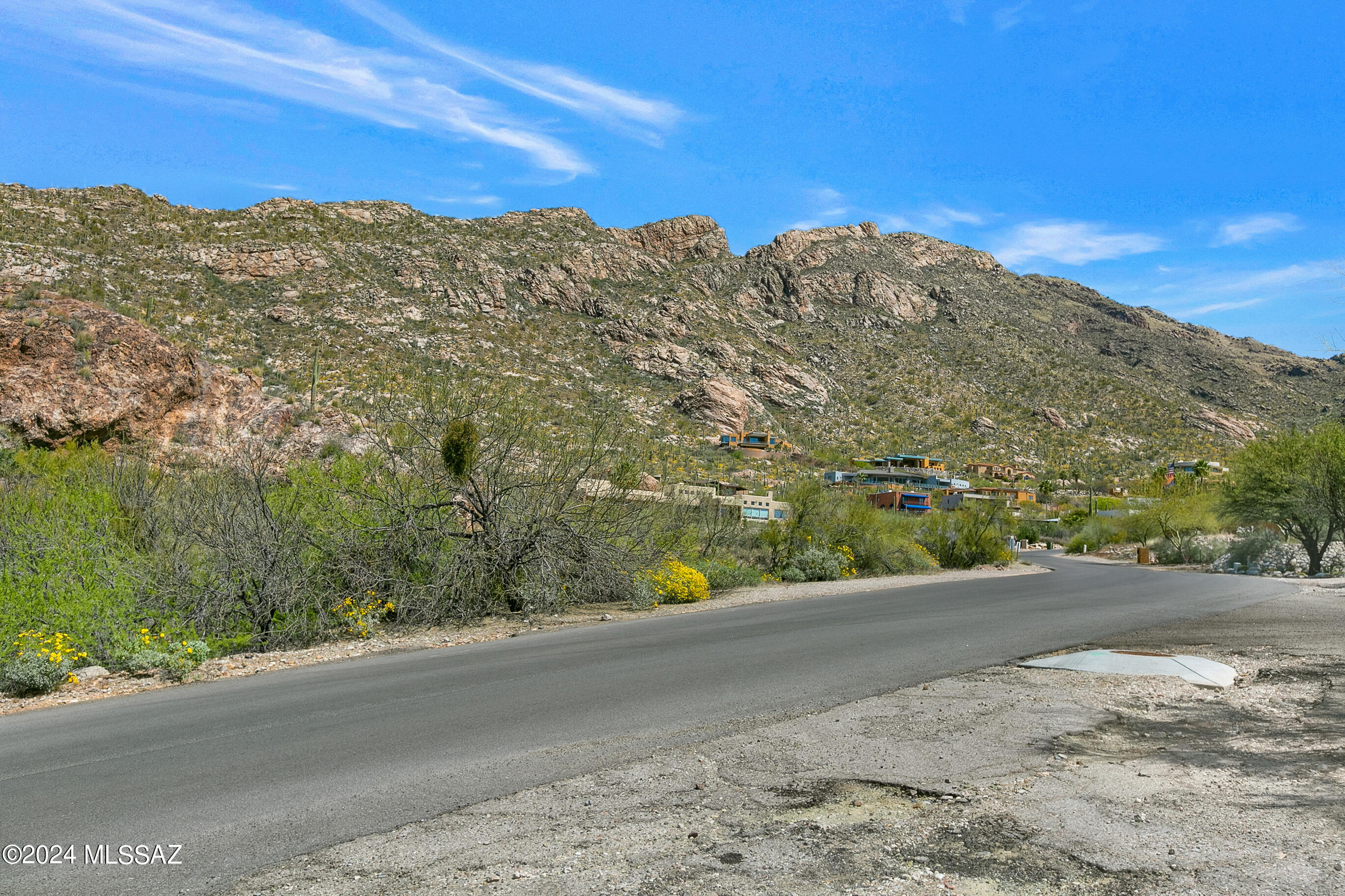 Coronado Foothills Estates - Land