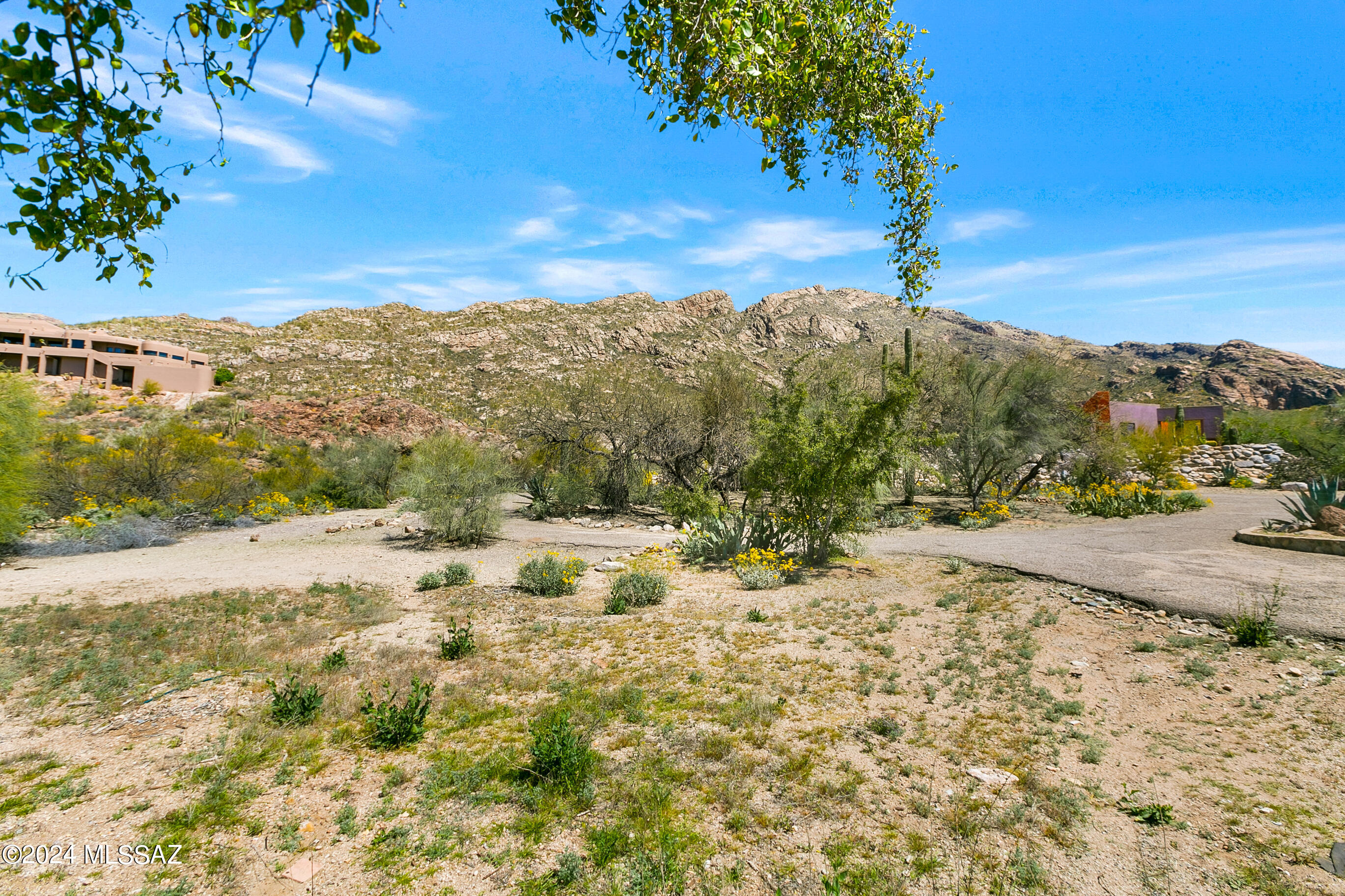 Coronado Foothills Estates - Land