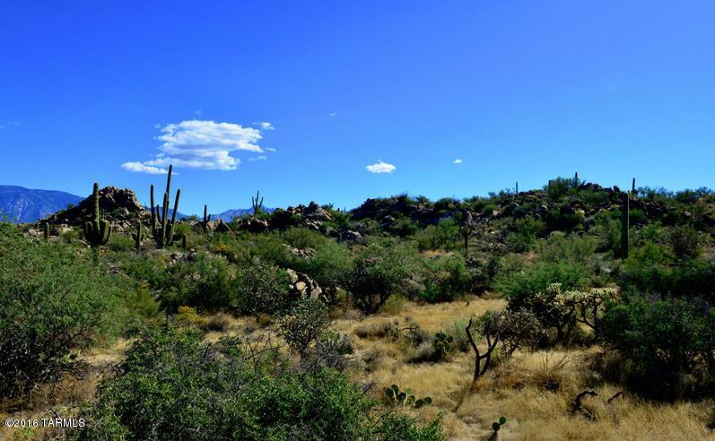 Stone Canyon IV - Land