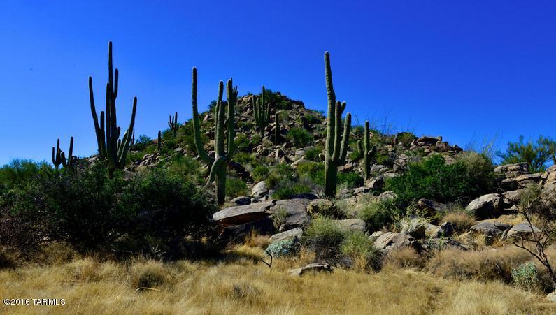 Stone Canyon IV - Land