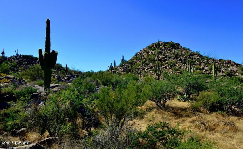 Stone Canyon IV - Land