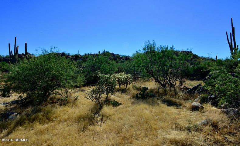 Stone Canyon IV - Land