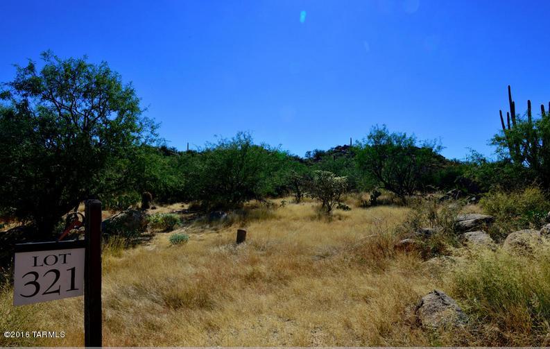 Stone Canyon IV - Land