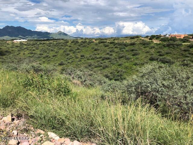 Rio Rico Ranchettes 9 - Land