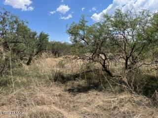 Nice parcel on a cul de sac can build or put a manufactured home. 2 lots available 306-20-0170 (25440 E Whetstone Pl) and 306-20-0160 (25450 E Whetstone Pl) both lots are 2.448 acres. Buy one for $20,000 or both for $36,000. As and added bonus the seller will carry with a reasonable down and terms.