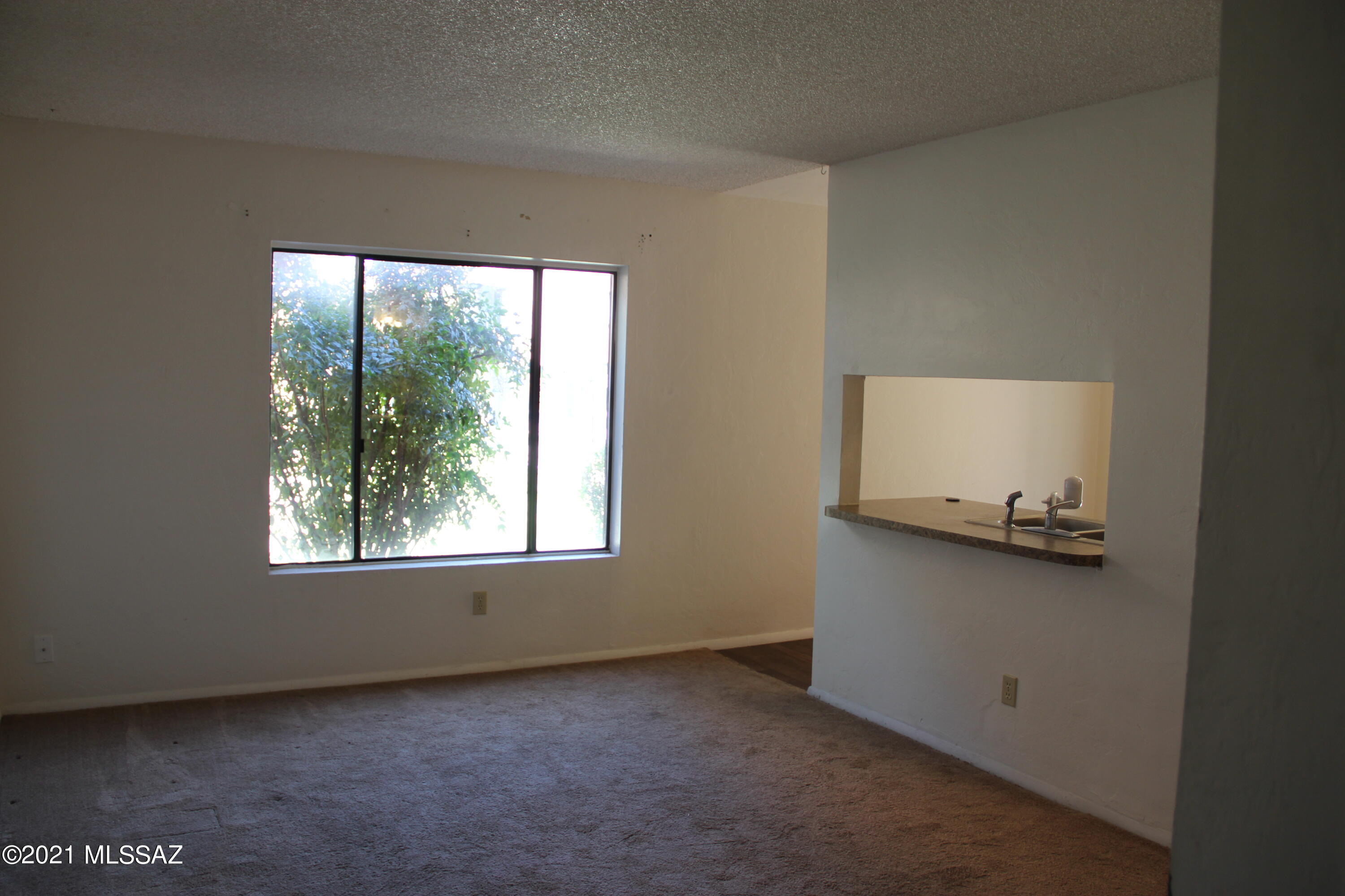 Come check out this recently refurbished first floor, one bedroom one bathroom condo. Remodeled kitchen with new cabinets, counters, and a built in microwave. The bathroom has a new tile tub surround, new tile floors, and a new vanity. The small patio is accessible from both the kitchen and the bathroom; it also has direct access to the pool. This is a pet friendly environment; dog and cats welcome. This unit stands out from the rest with a brand new air conditioner! Property is close to transportation, shopping and dining. This place is a steal with water and trash covered!