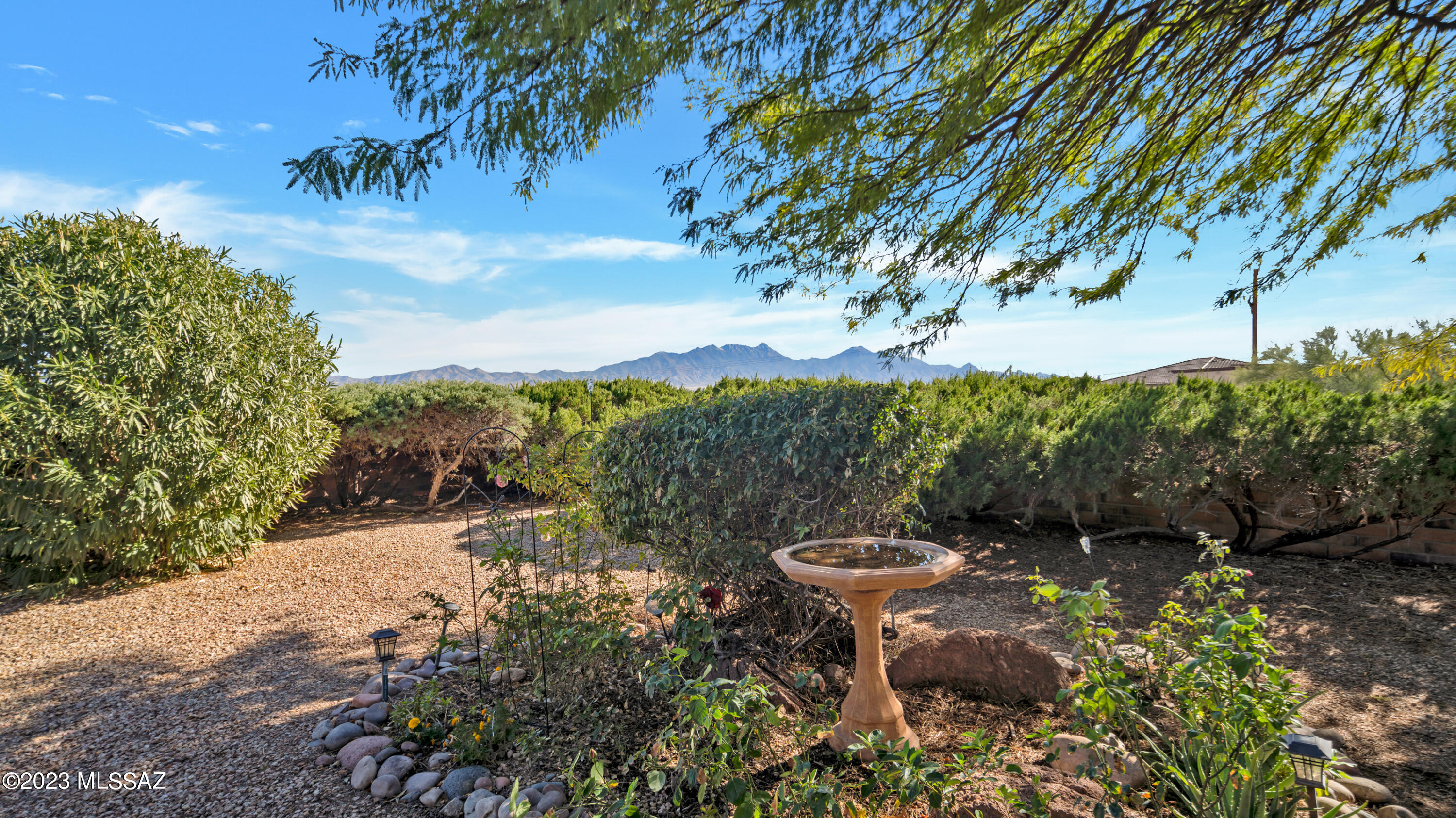 Colonia De Los Alamos - Viewpoint - Residential