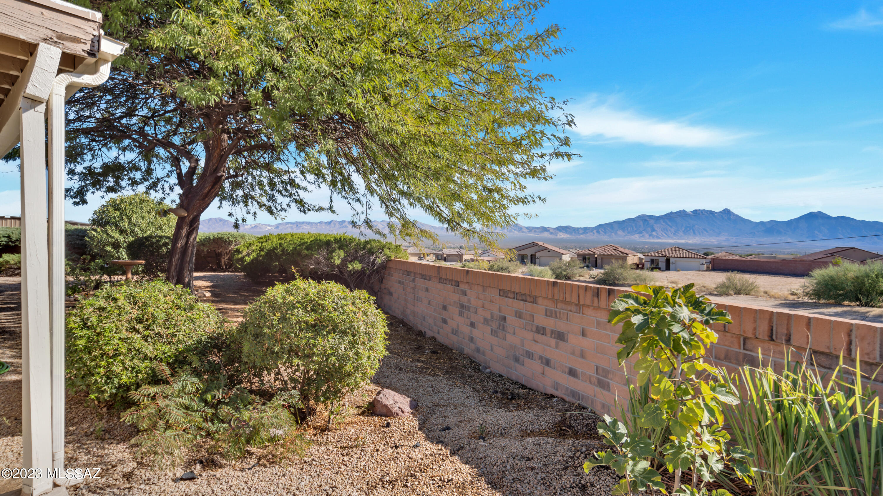Colonia De Los Alamos - Viewpoint - Residential