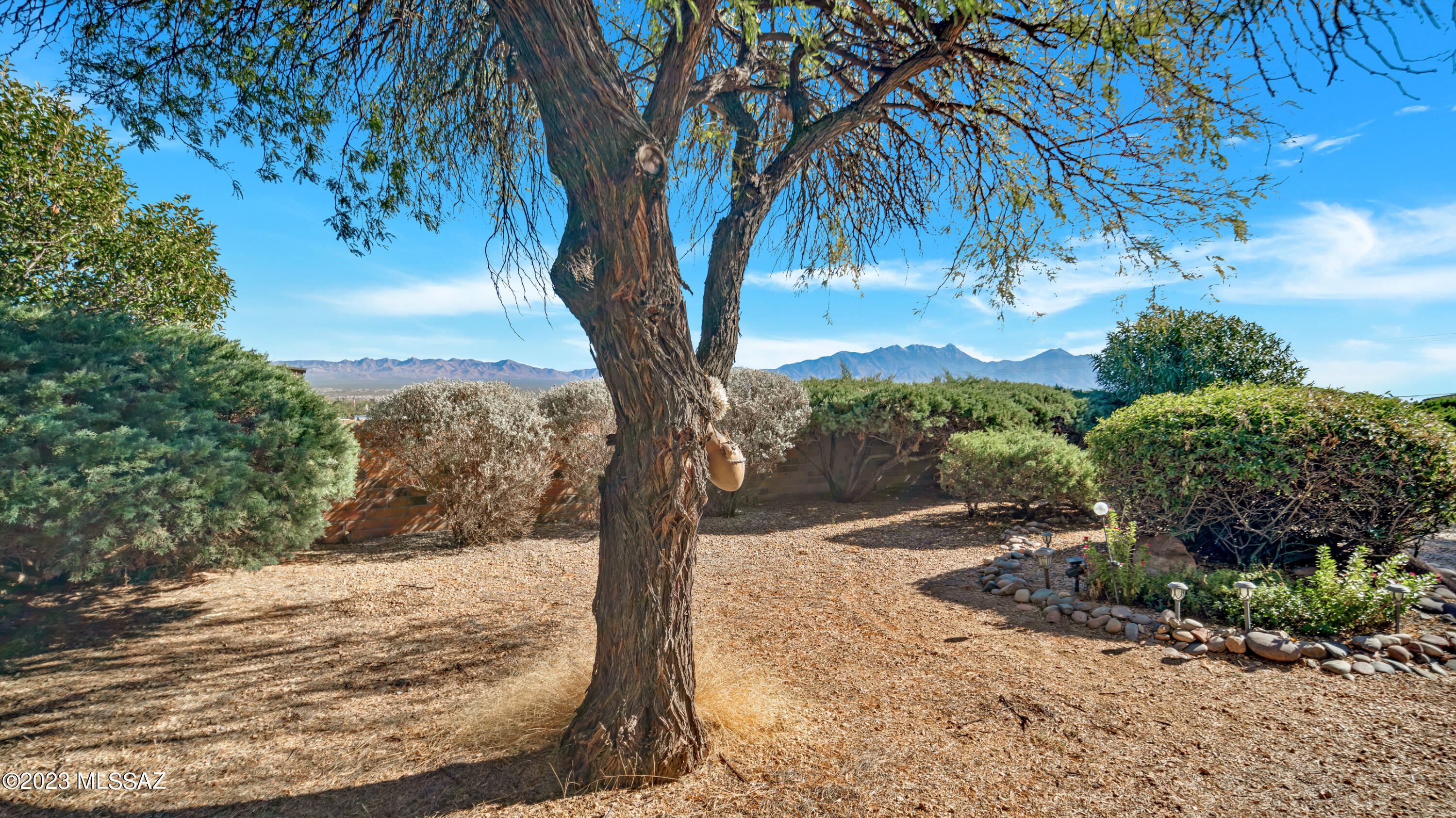 Colonia De Los Alamos - Viewpoint - Residential