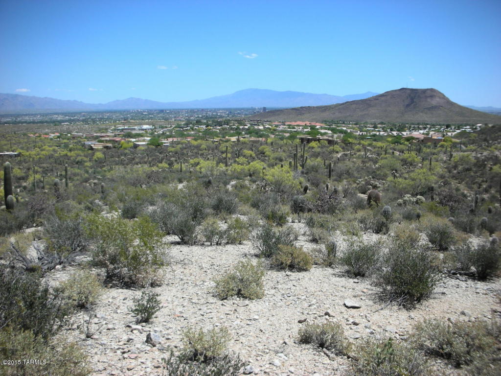 Estates at Starr Pass (The) - Land