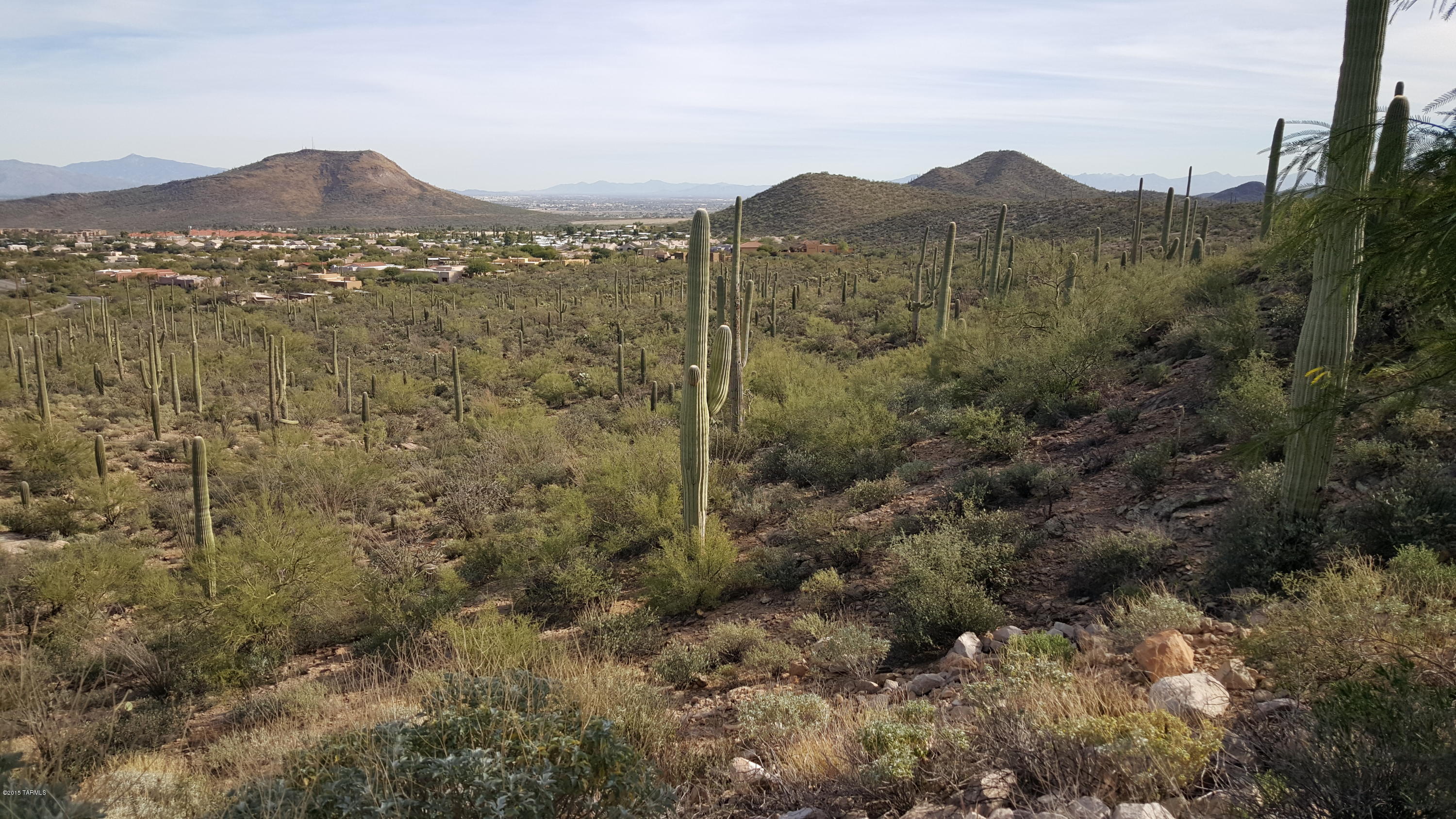 Estates at Starr Pass (The) - Land