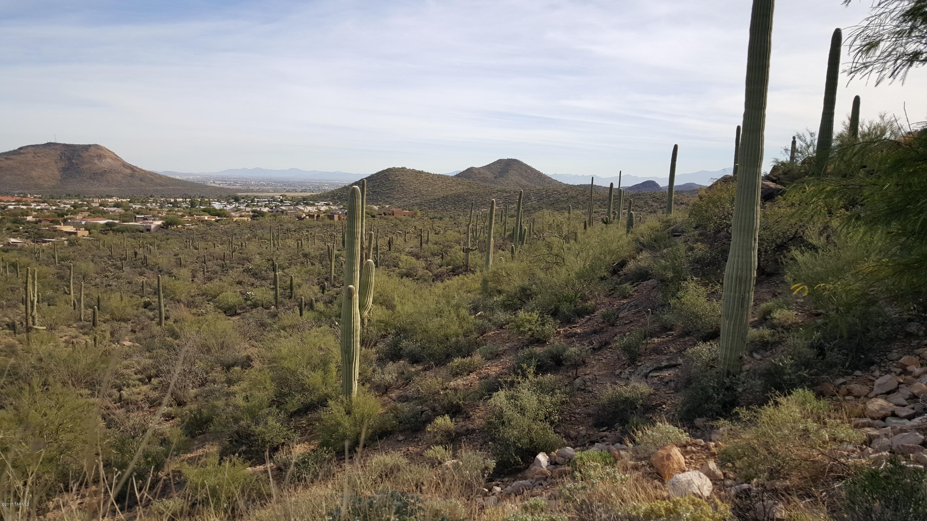 Estates at Starr Pass (The) - Land