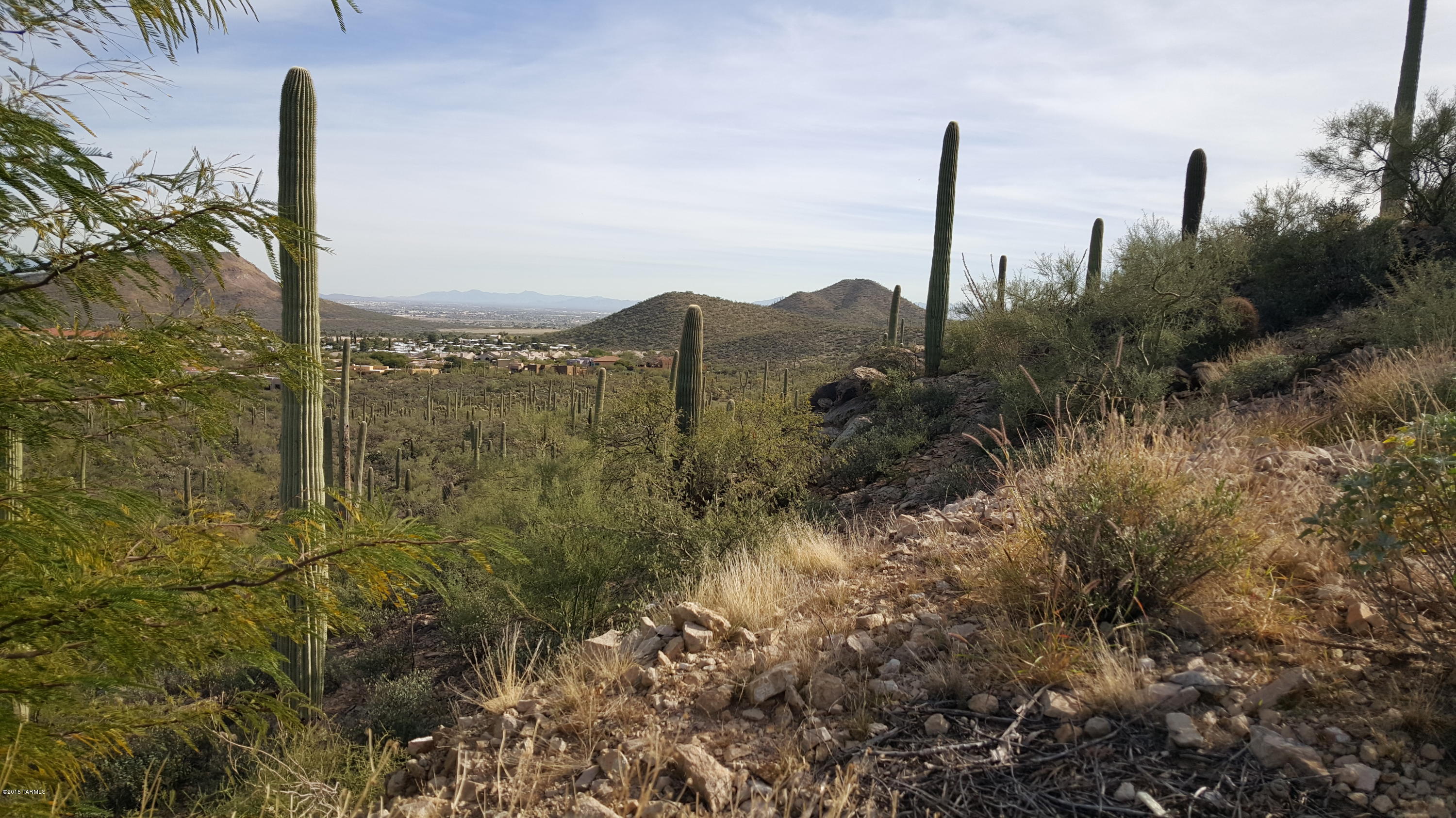 Estates at Starr Pass (The) - Land