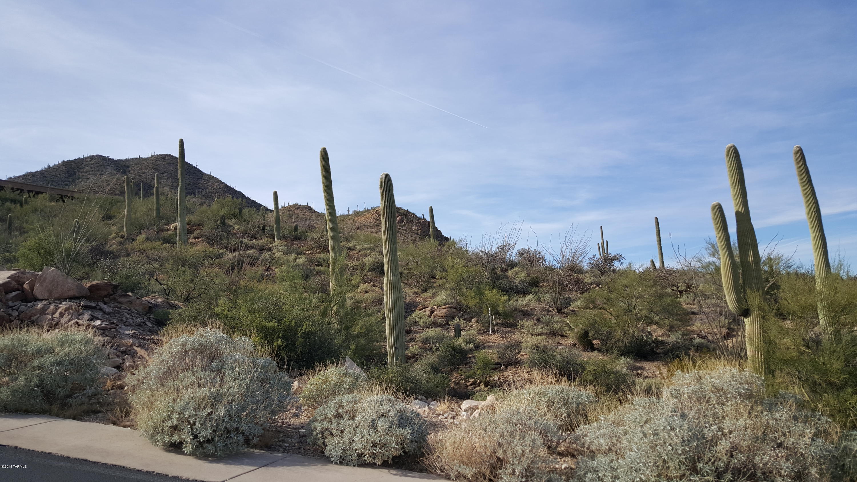 Estates at Starr Pass (The) - Land