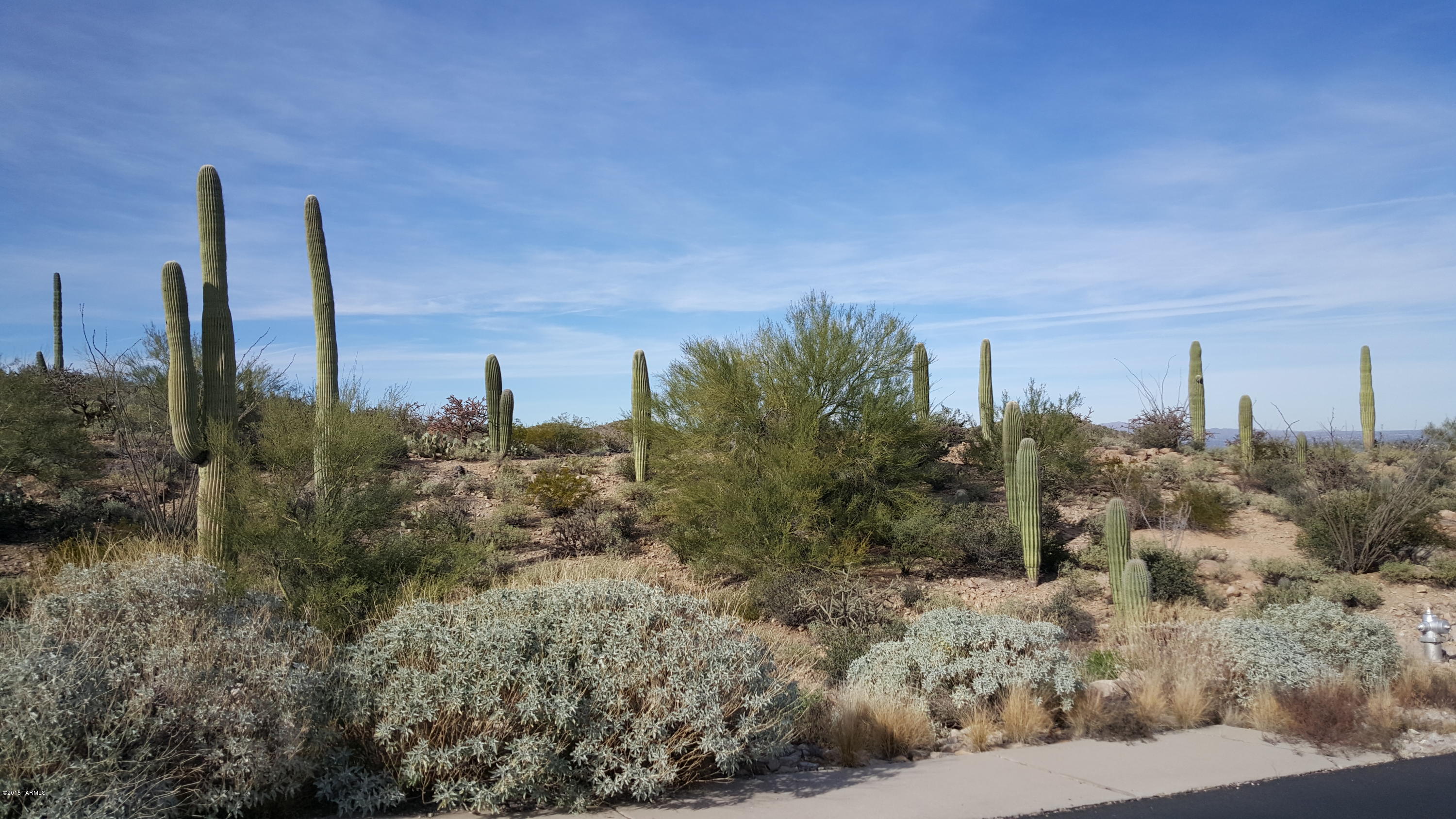 Estates at Starr Pass (The) - Land