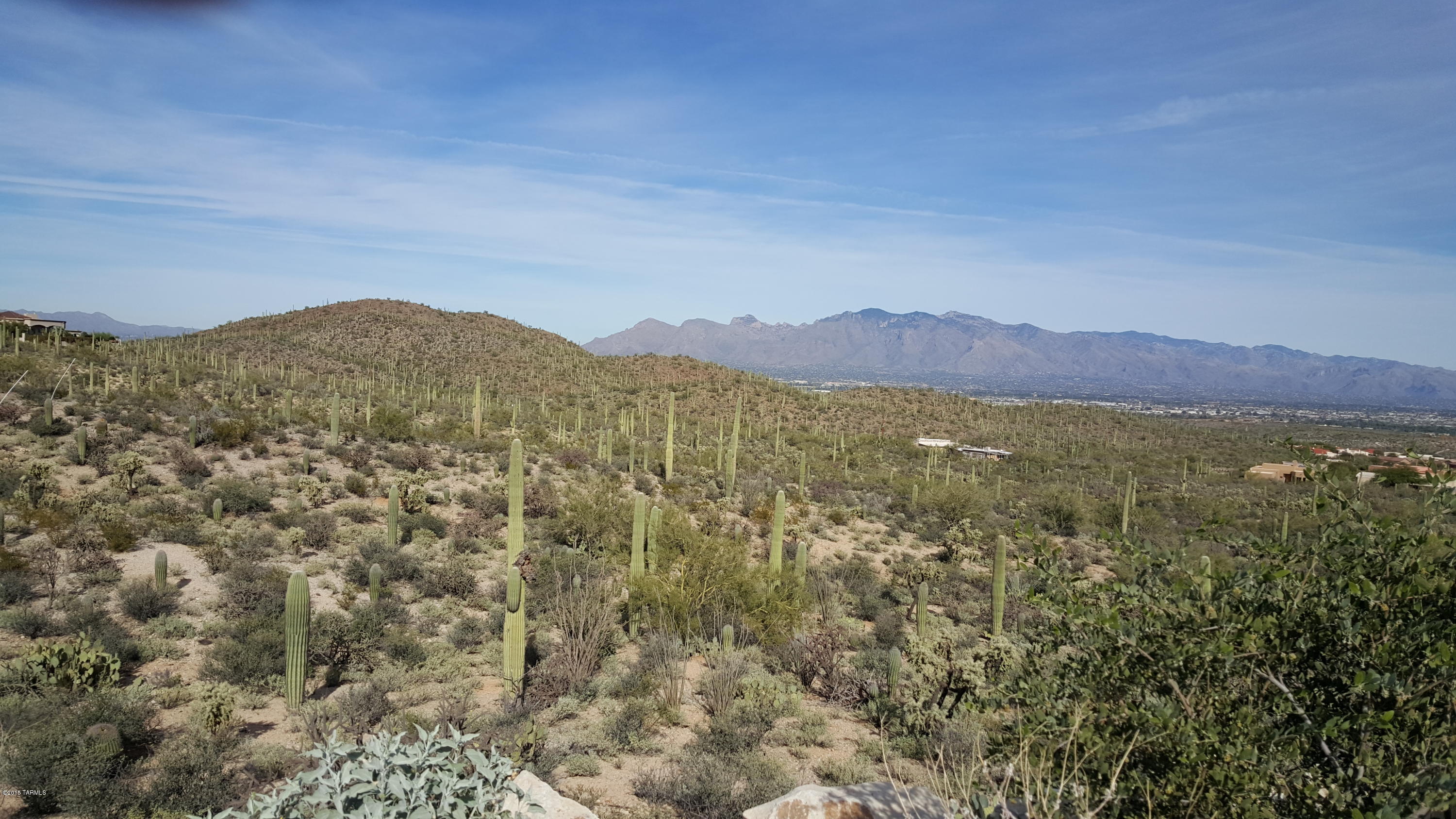 Estates at Starr Pass (The) - Land