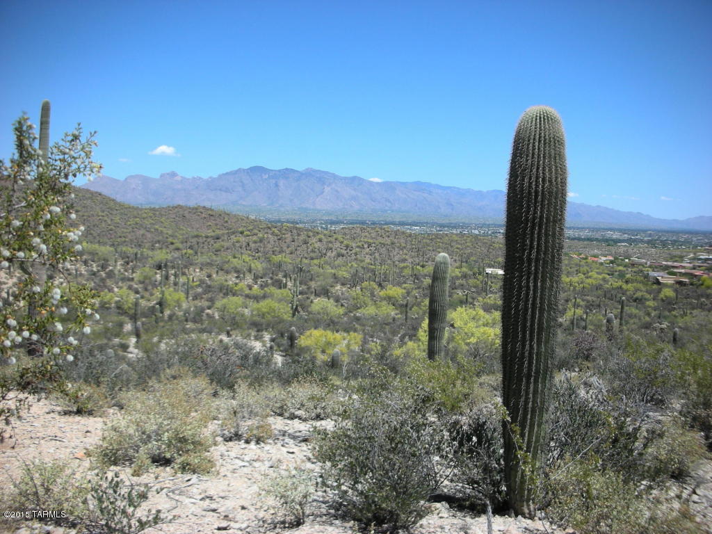 Estates at Starr Pass (The) - Land