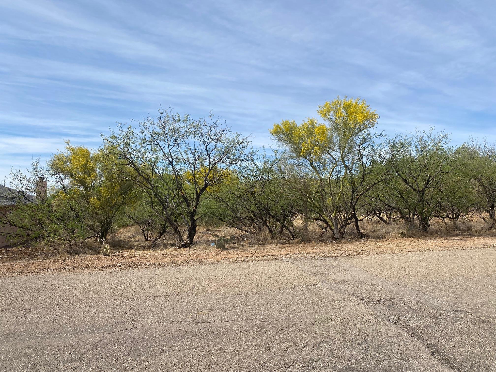 Rio Rico Ranchettes 17 - Land