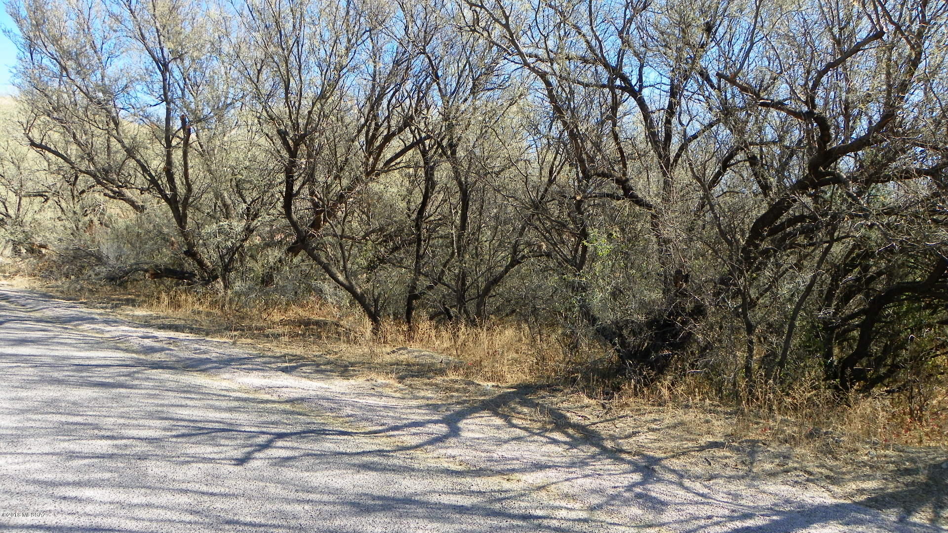 Rio Rico Ranchettes 3 - Land