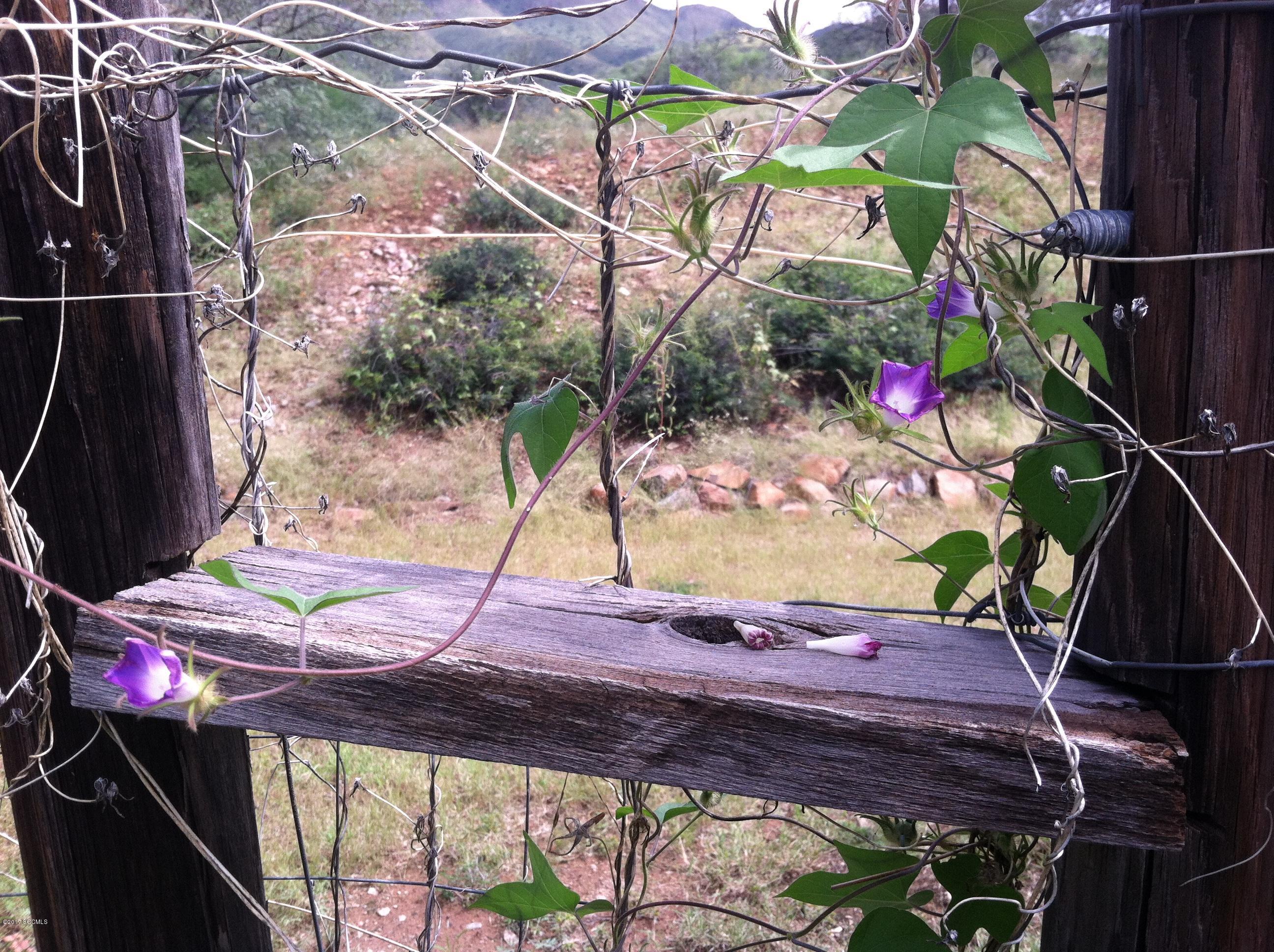 Rio Rico Ranchettes 17 - Residential