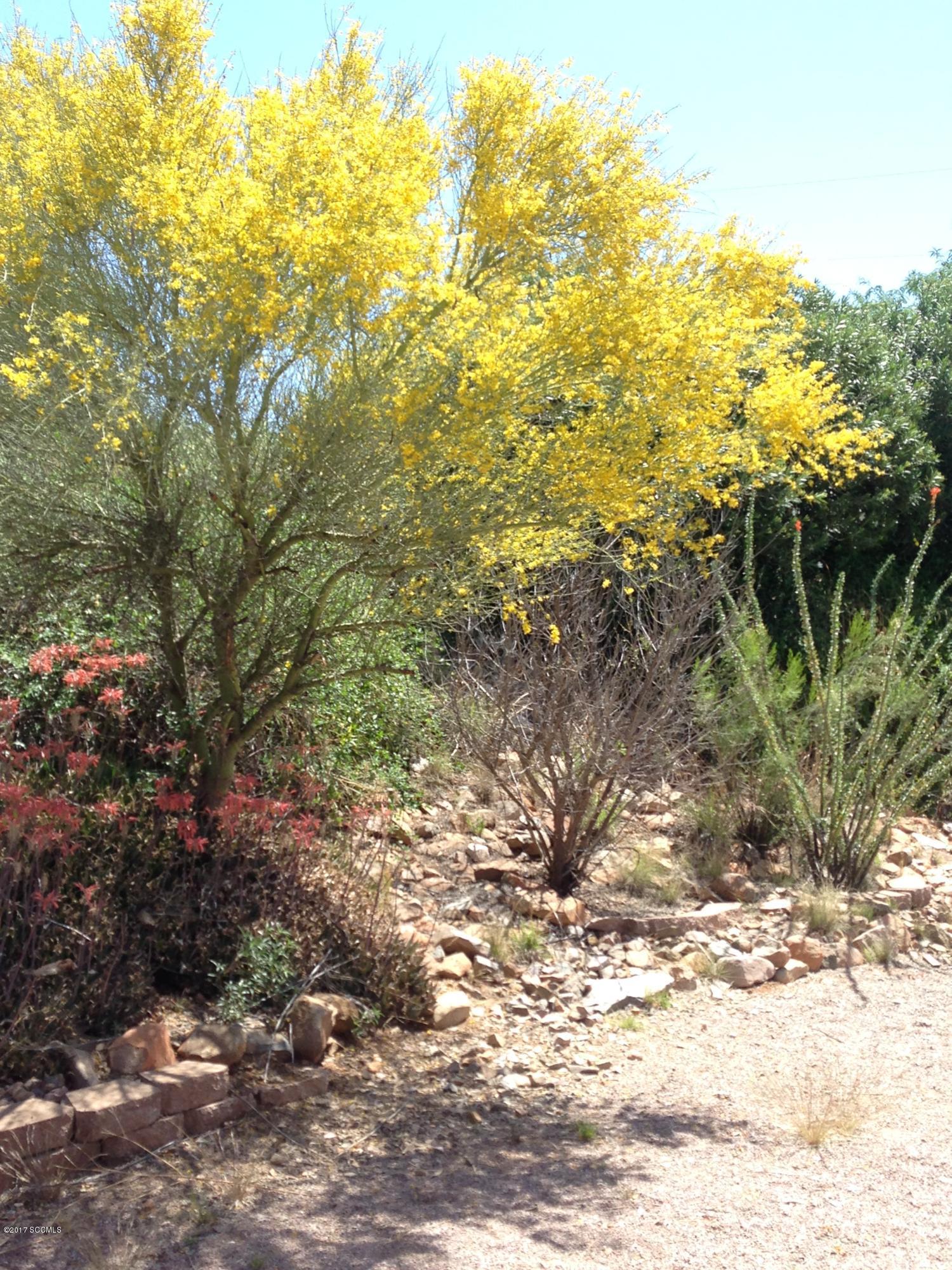 Rio Rico Ranchettes 17 - Residential
