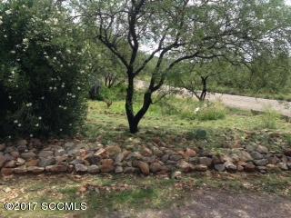 Rio Rico Ranchettes 17 - Residential