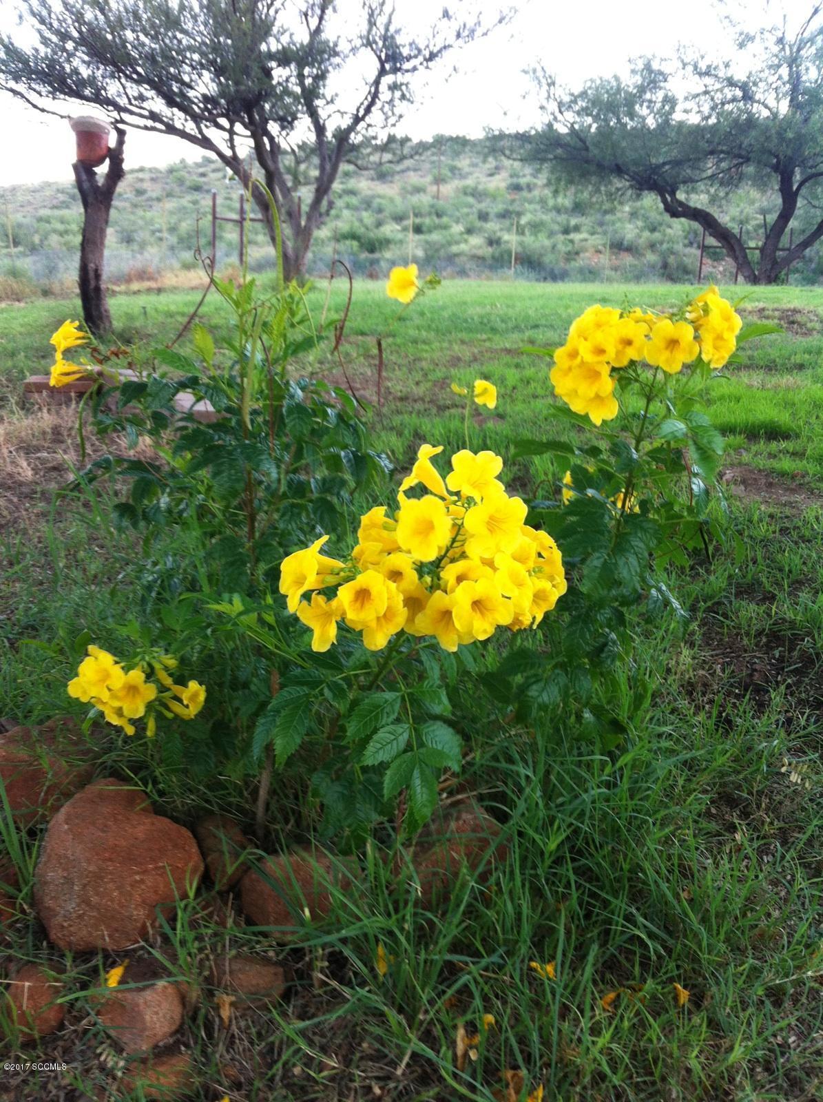 Rio Rico Ranchettes 17 - Residential