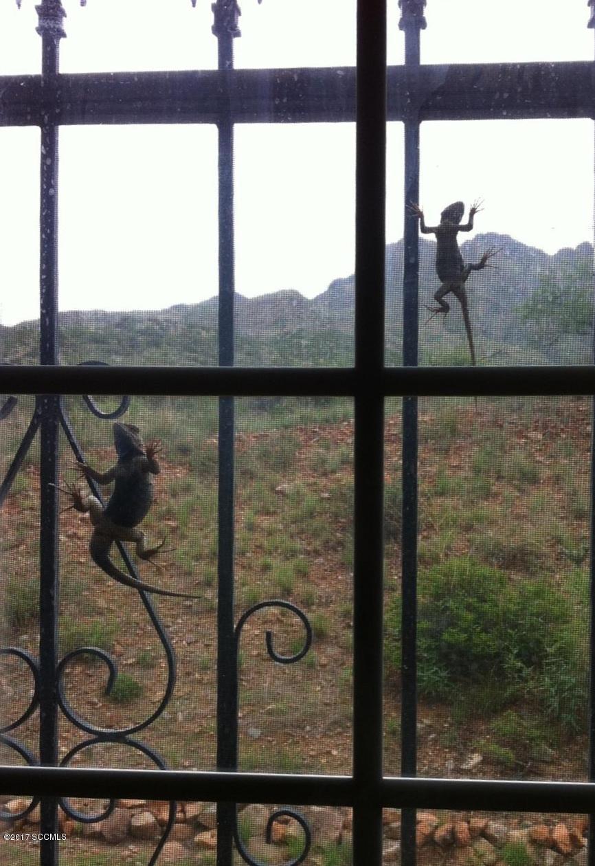 Rio Rico Ranchettes 17 - Residential